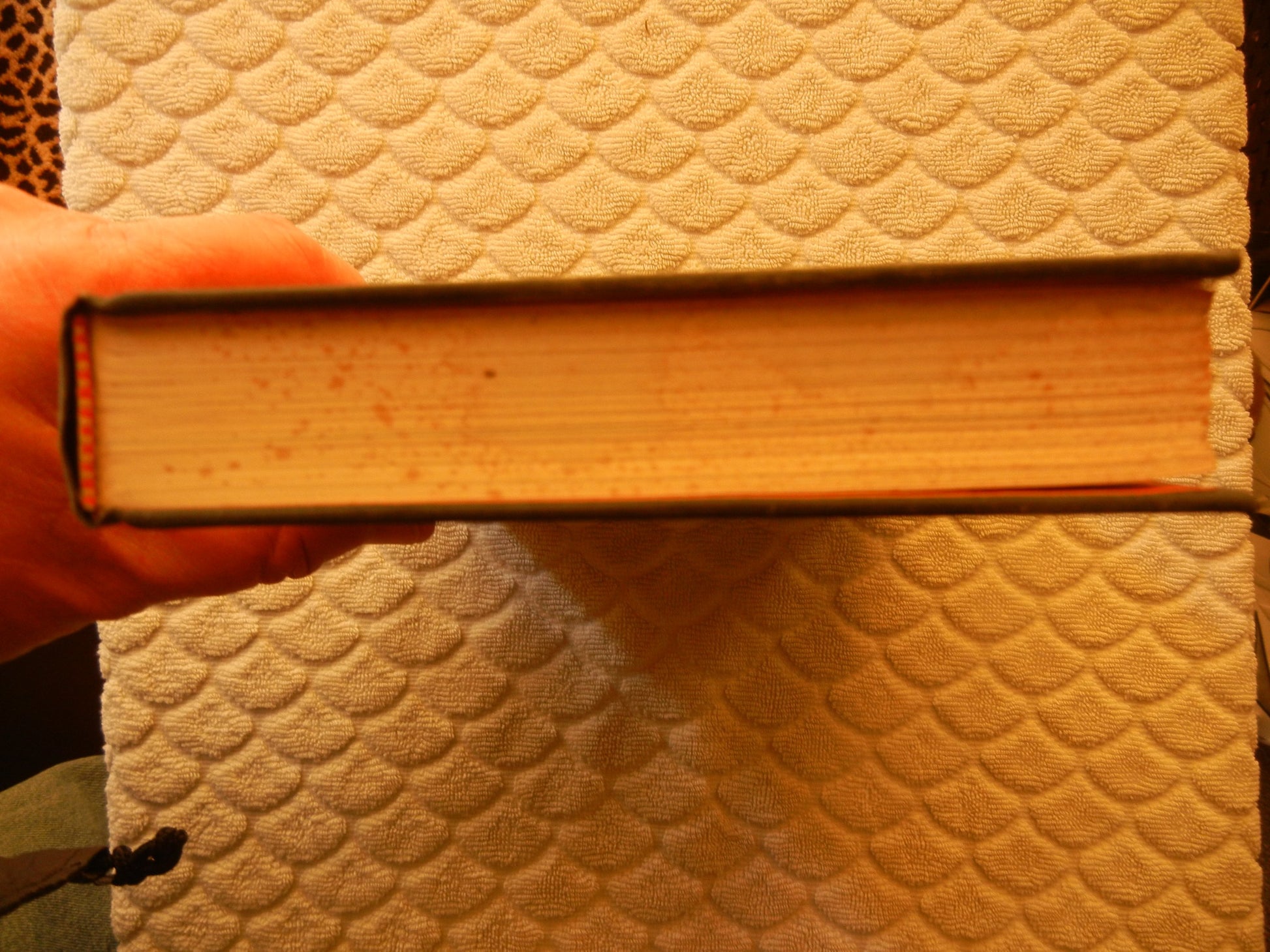 PT05