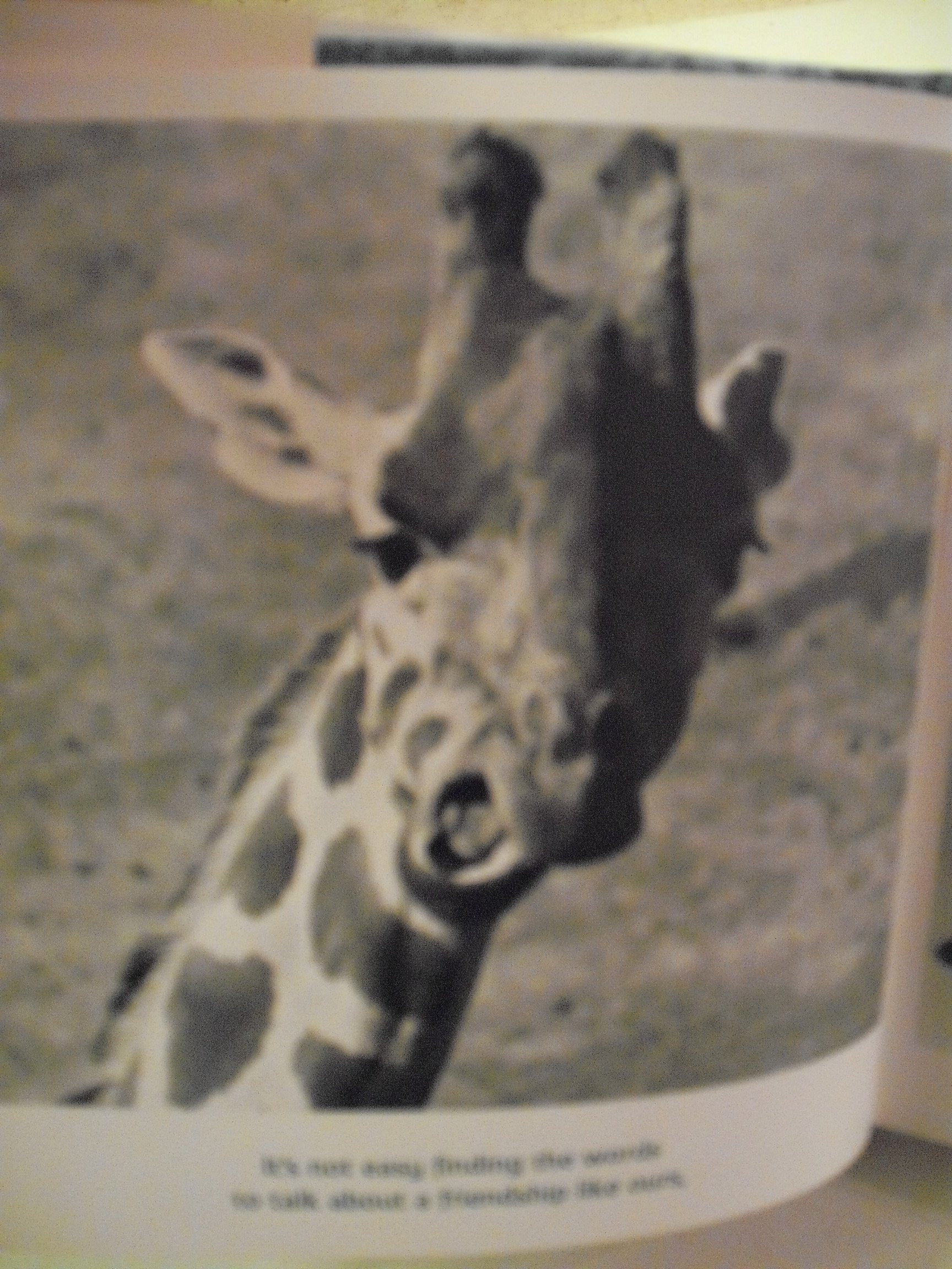 PT06