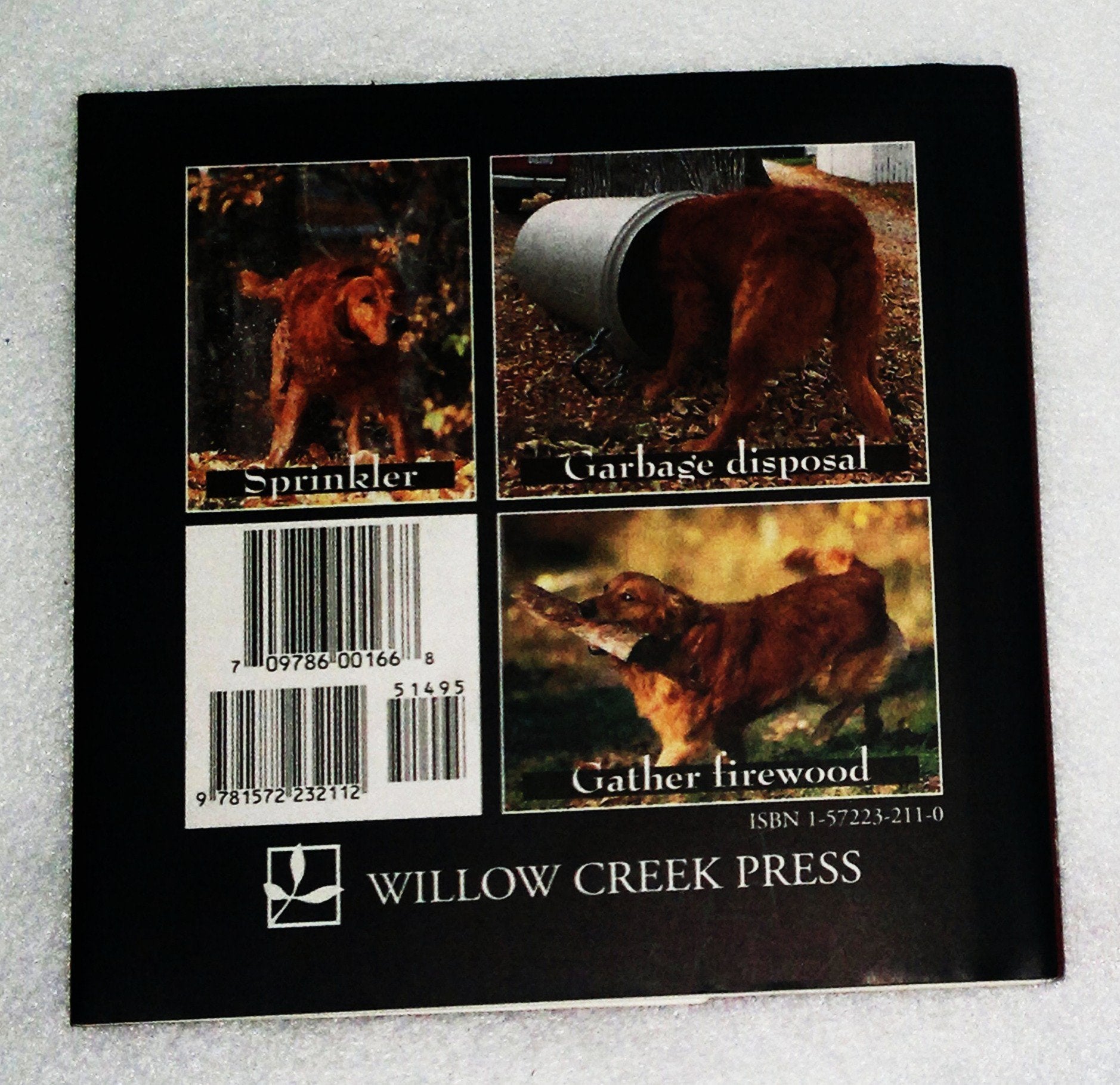 101 Uses for a Golden Retriever