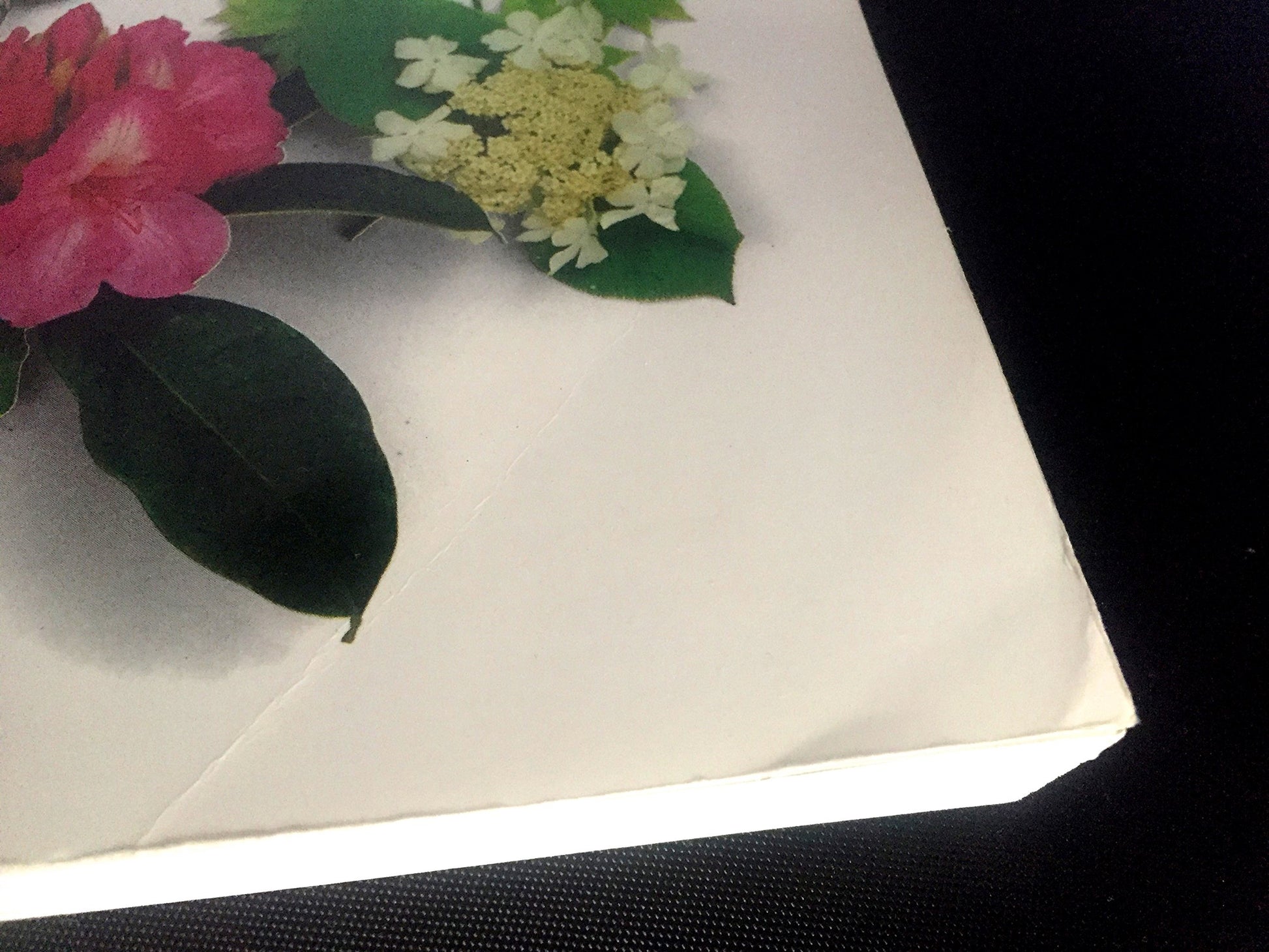PT04