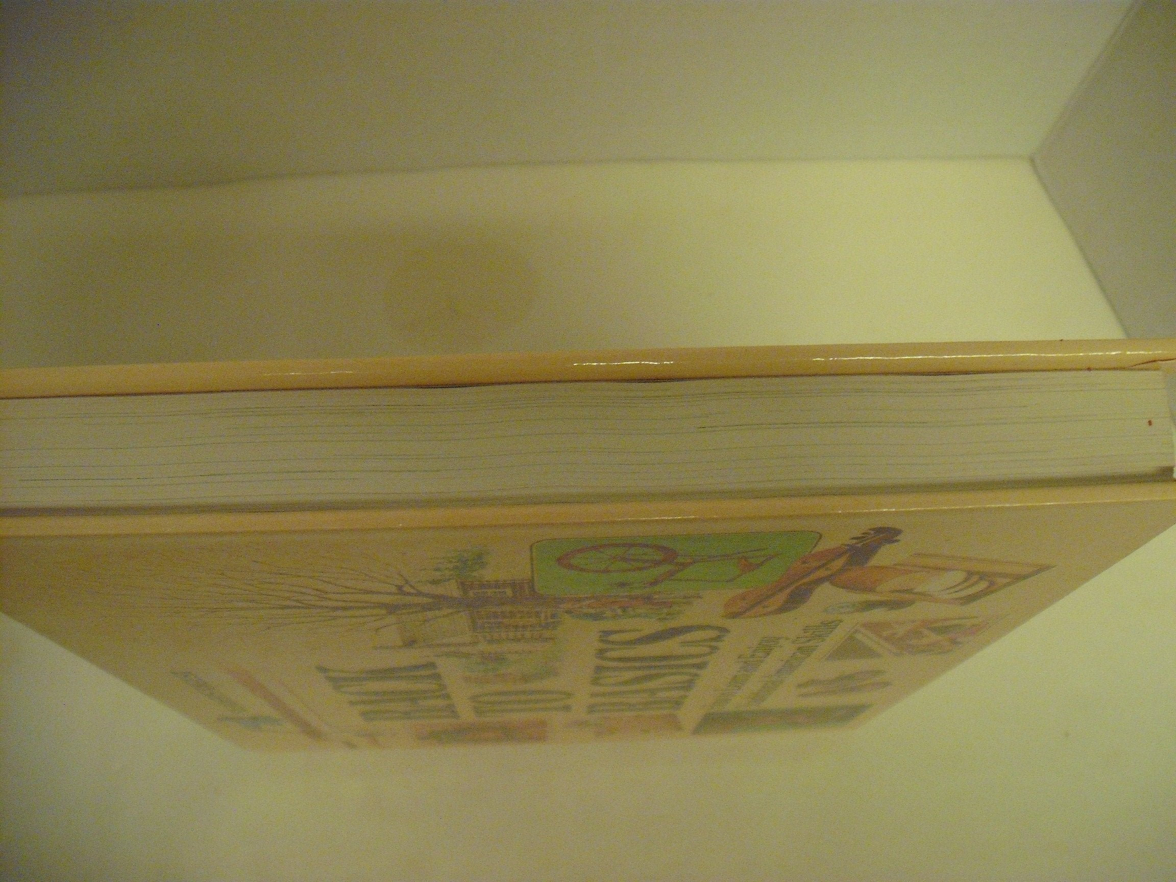 Back to Basics: How to Learn and Enjoy Traditional American Skills