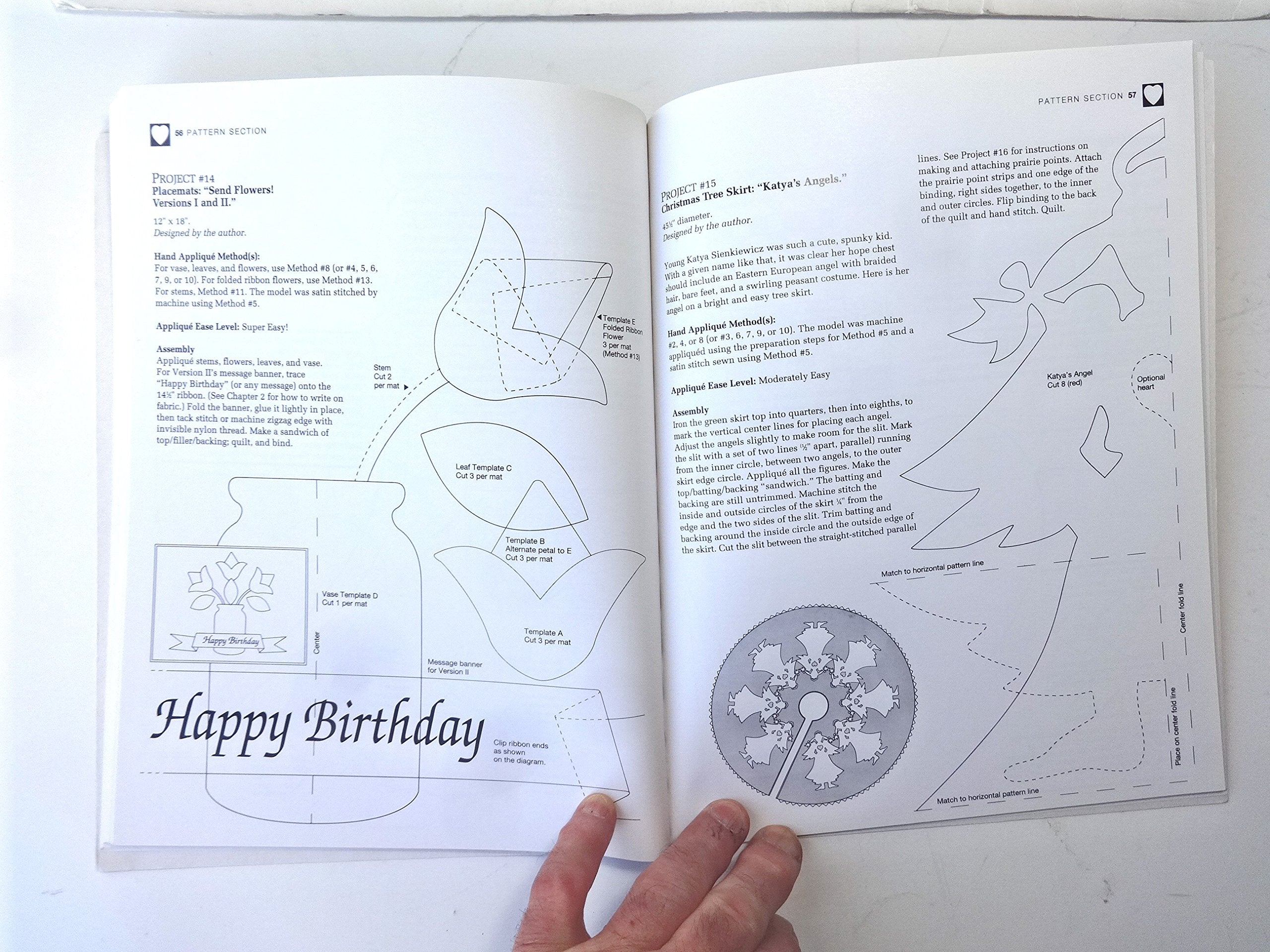 Applique 12 Easy Ways!: Charming Quilts, Giftable Projects, and Timeless Techniques