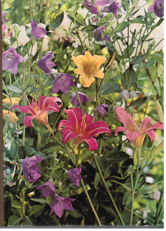 Perennials The TimeLife Encyclopedia of Gardening [Hardcover] James Underwood Crockett