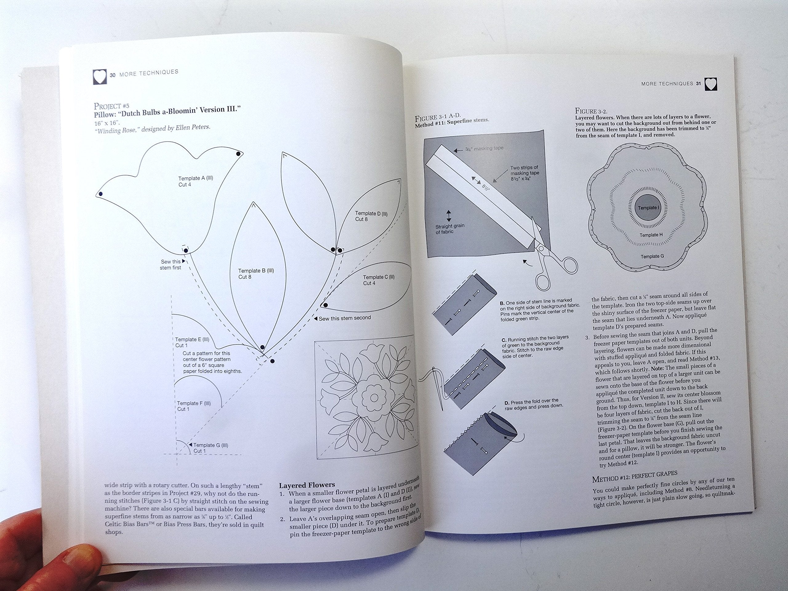 Applique 12 Easy Ways!: Charming Quilts, Giftable Projects, and Timeless Techniques