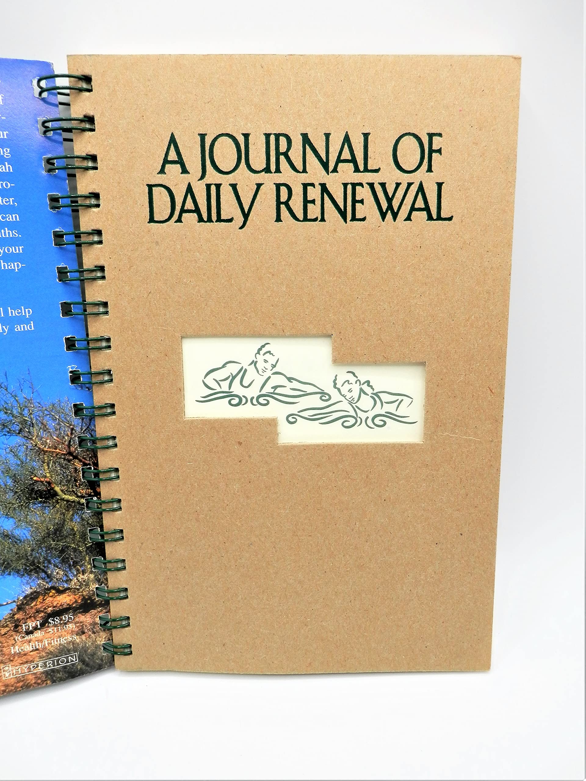 The Journal of Daily Renewal: The Companion to Make the Connection