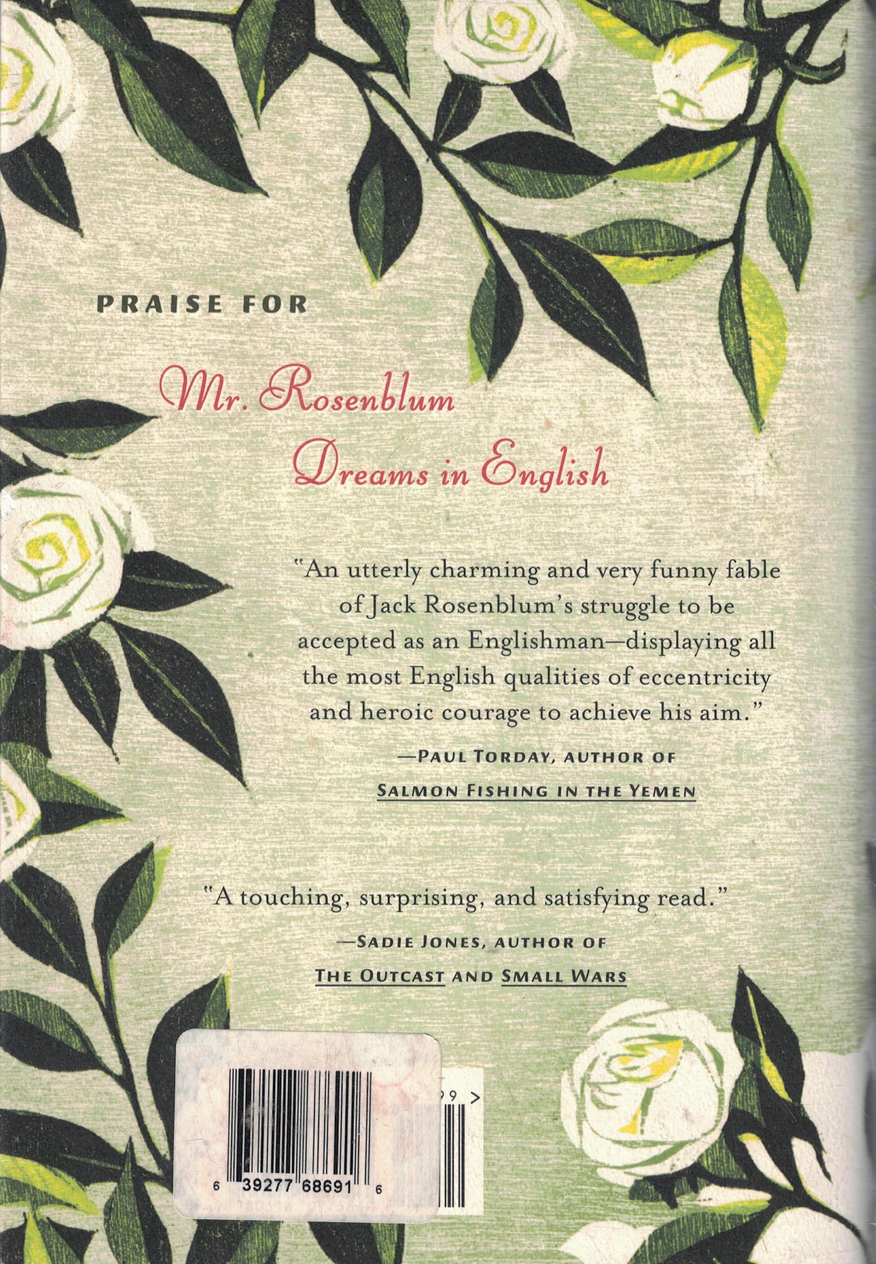 Mr. Rosenblum Dreams in English: A Novel