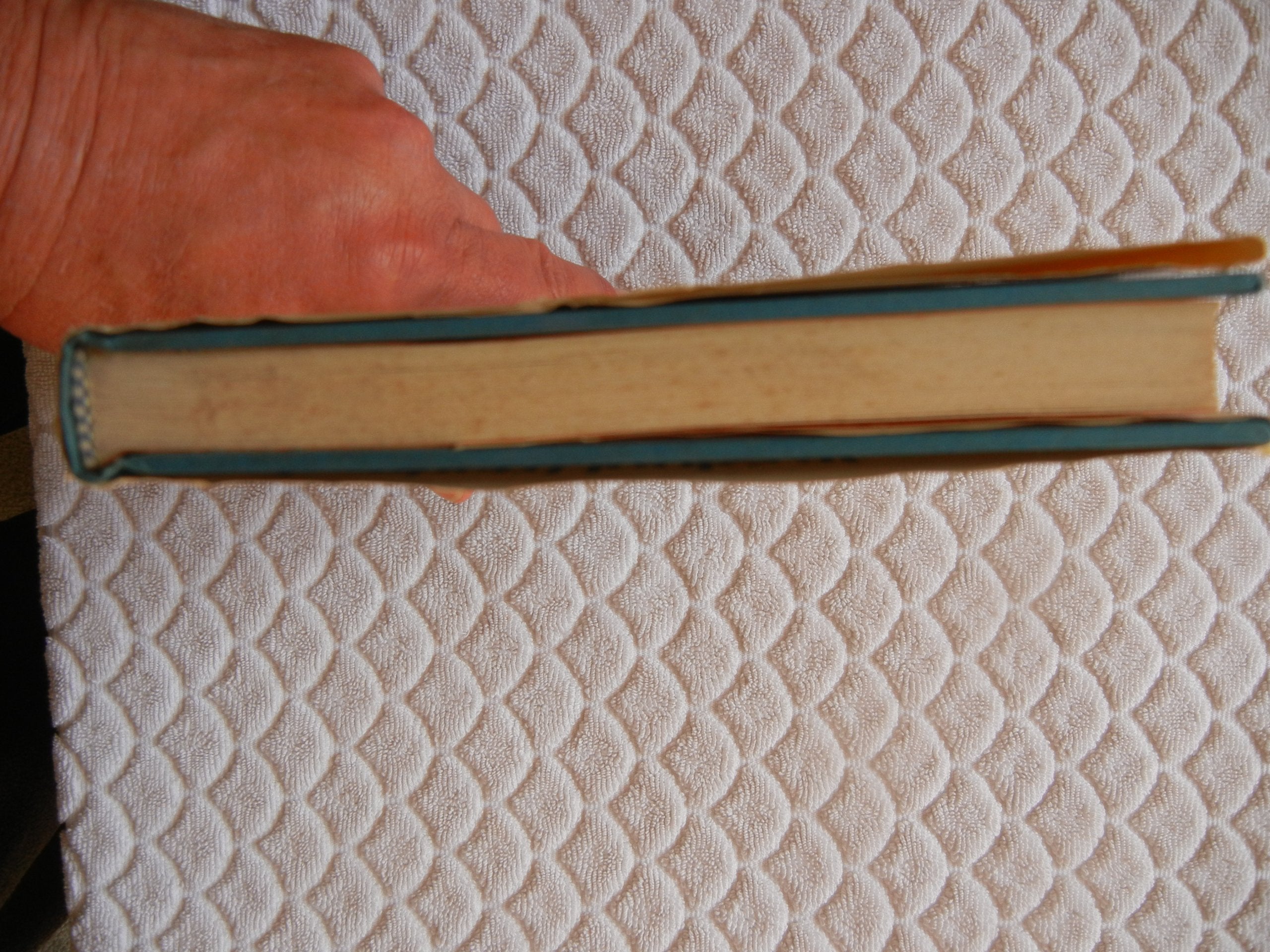 A Shepherd Looks At Psalm 23