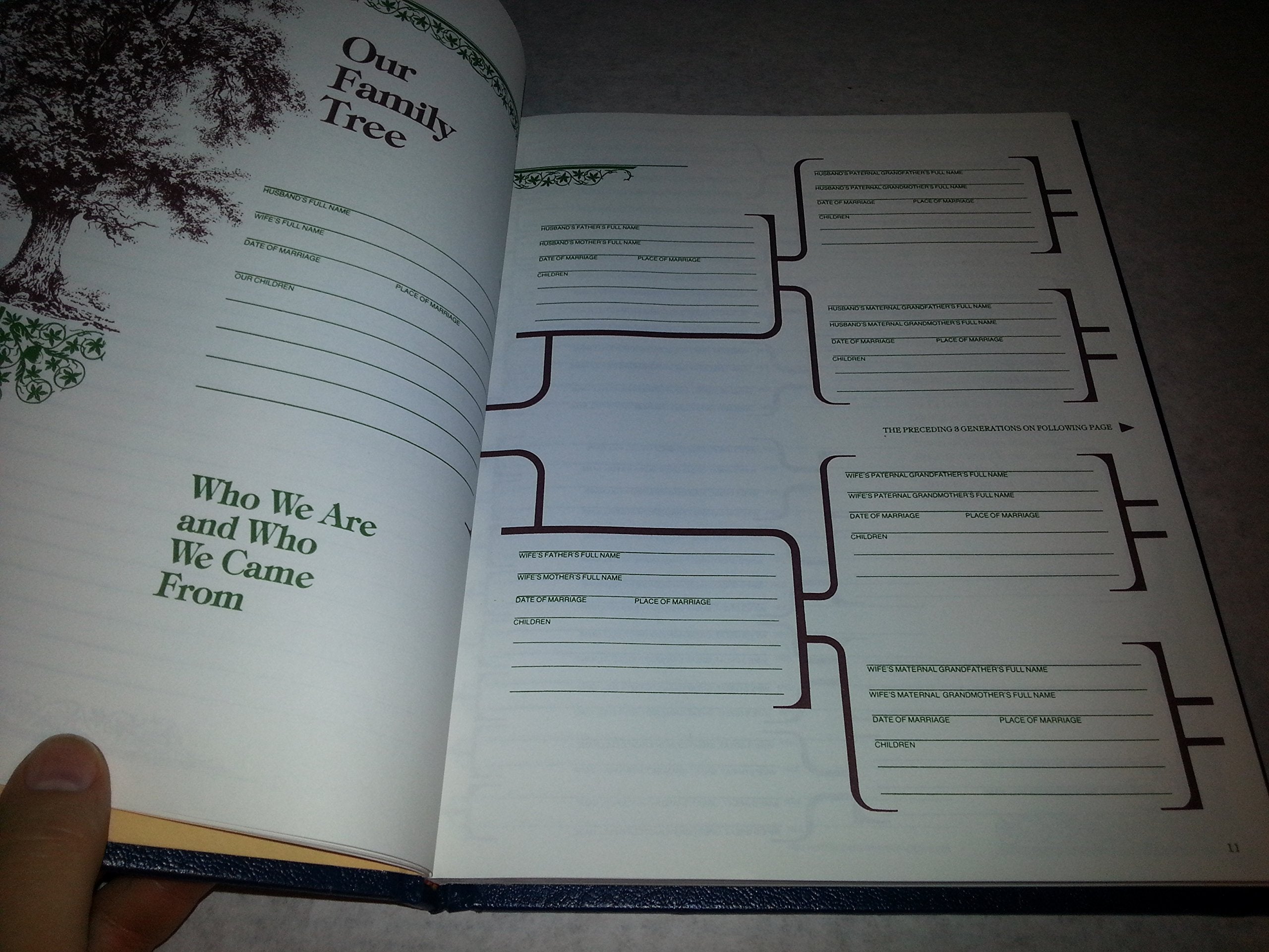 Our Family Tree