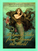 Mermaid Tales from Around the World Osborne, Mary Pope and Howell, Troy