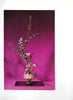 The Art of Arranging Flowers: A Complete Guide to Japanese Ikebana Sato, Shozo