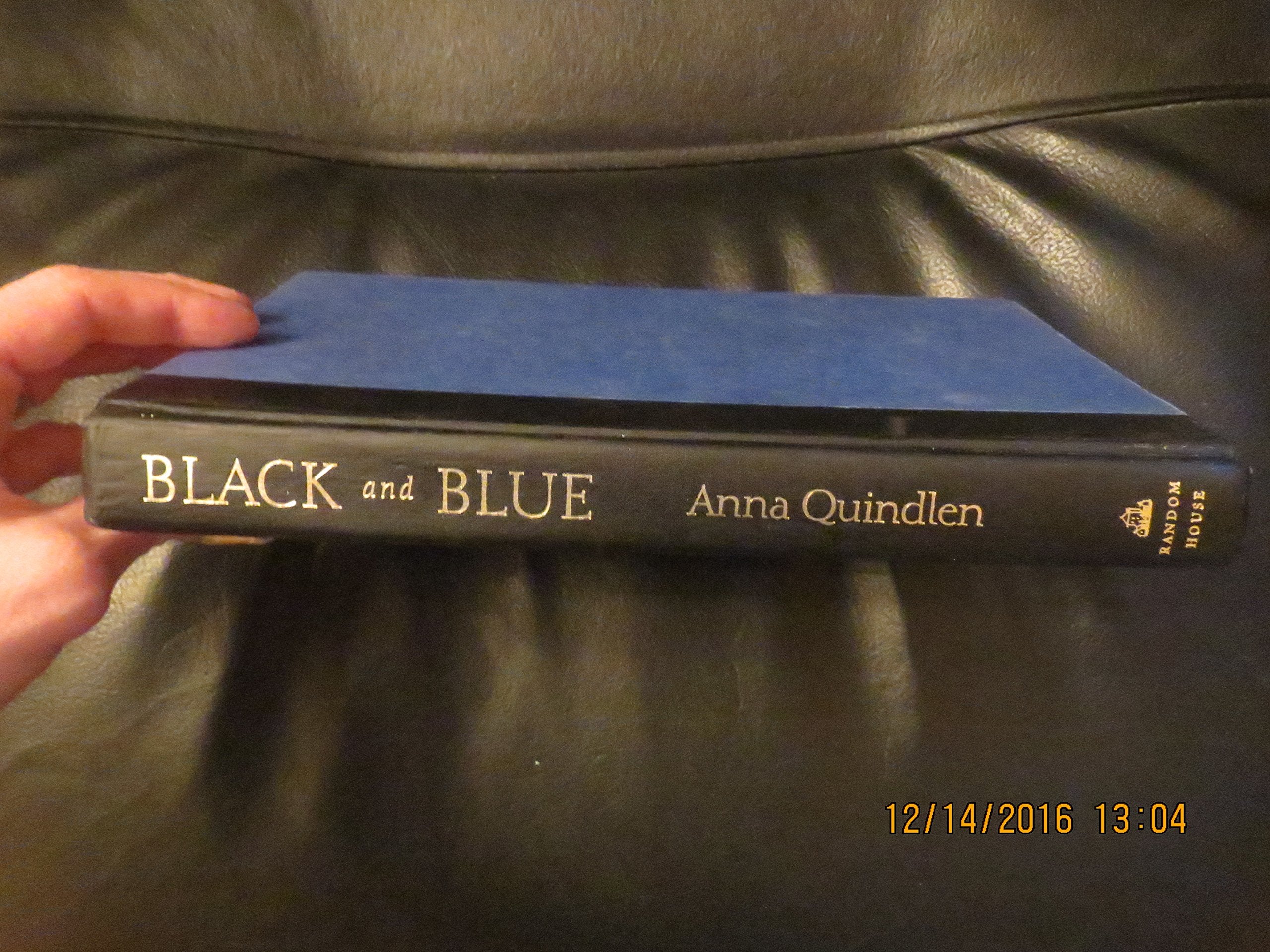 Black and Blue: A Novel
