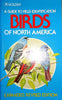 Birds of North America Golden Field Guide from St Martins Press Zim, Herbert S; Robbins, Chandler S; Bruun, Bertel and Singer, Arthur