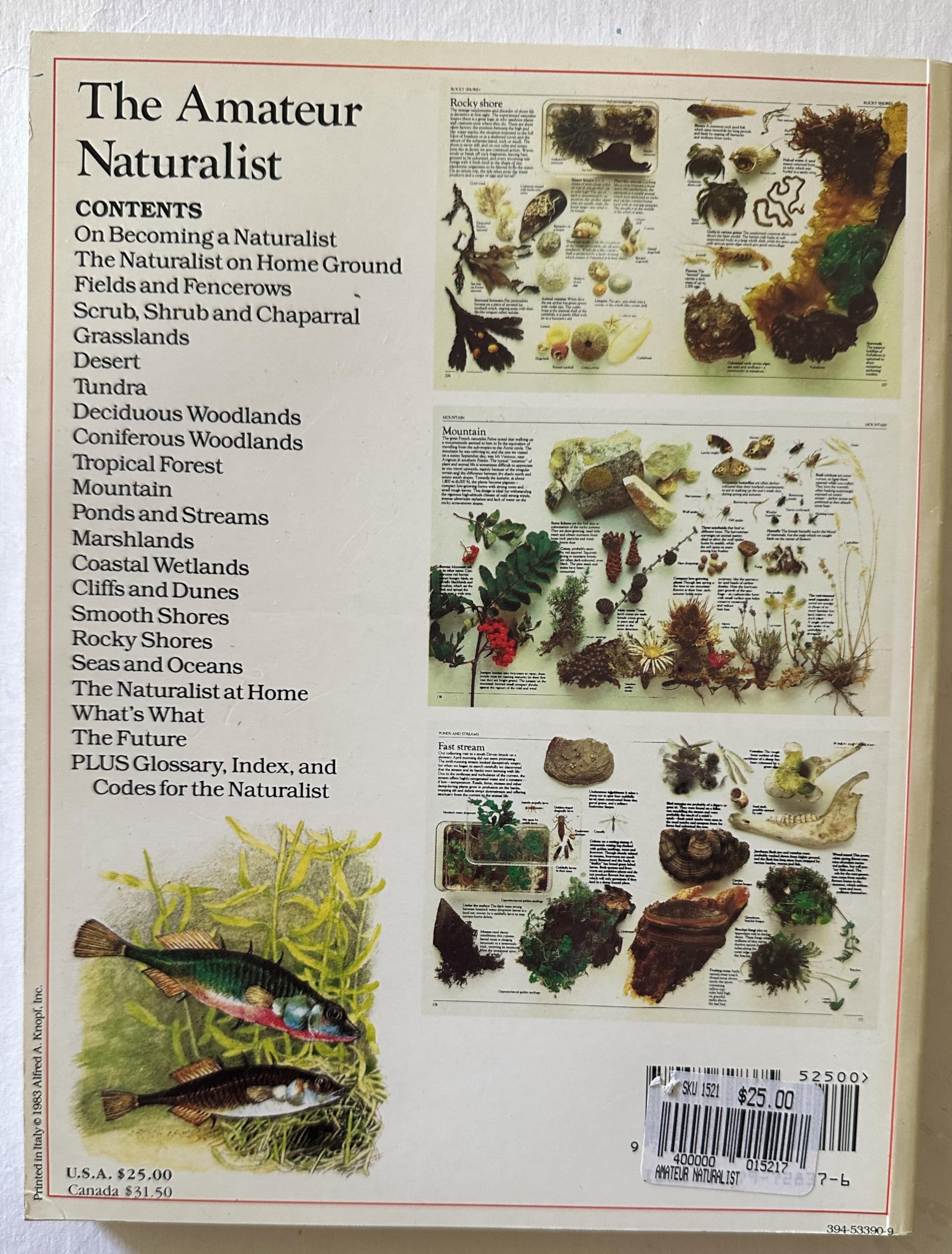 The Amateur Naturalist