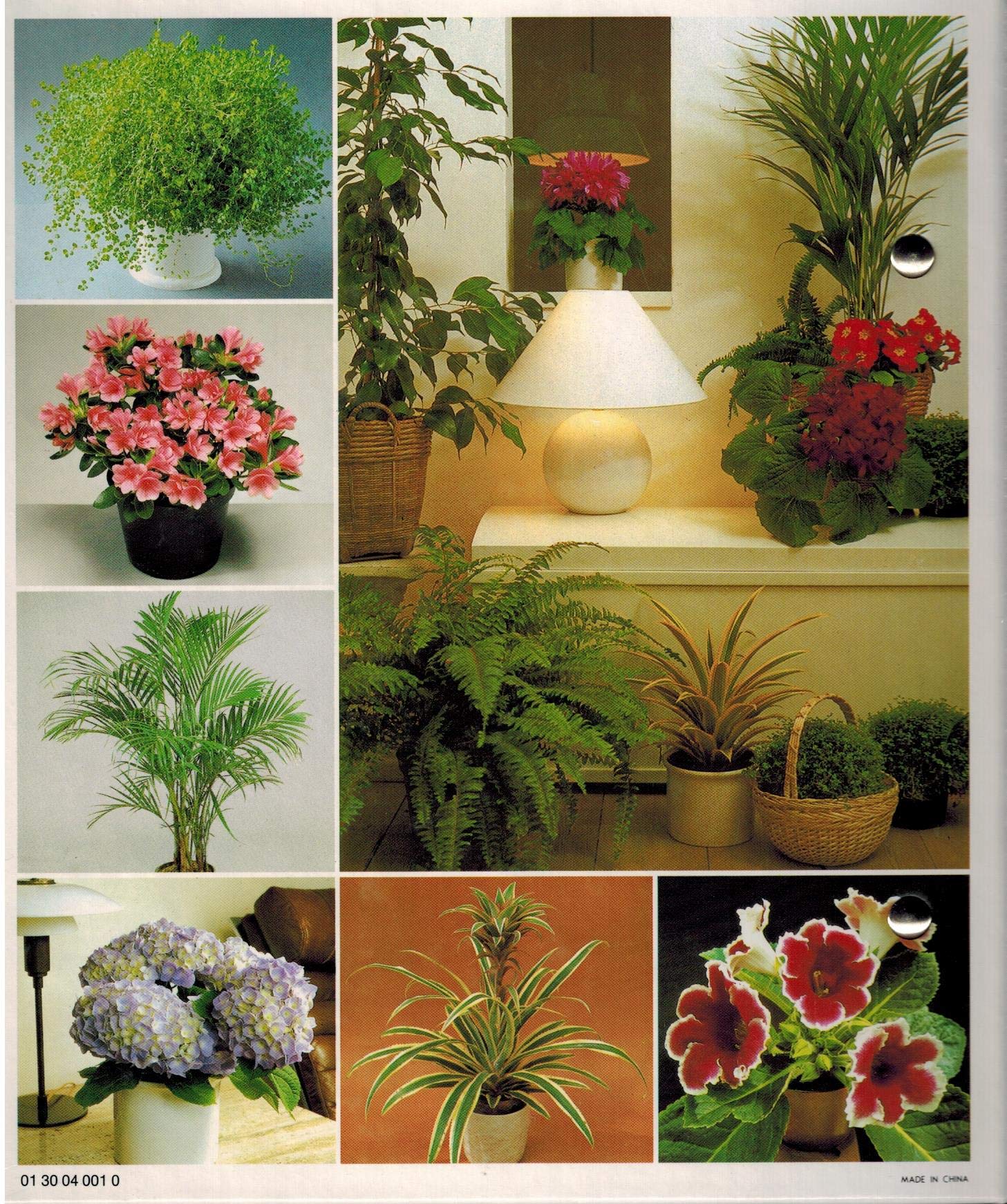 PT01