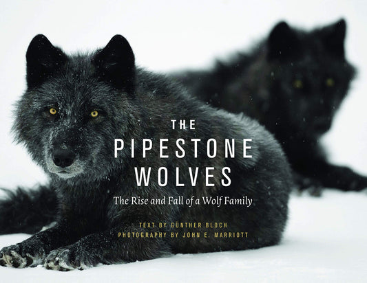 The Pipestone Wolves: The Rise and Fall of a Wolf Family [Hardcover] Bloch, Gnther; Marriott, John E and Gibeau, Mike