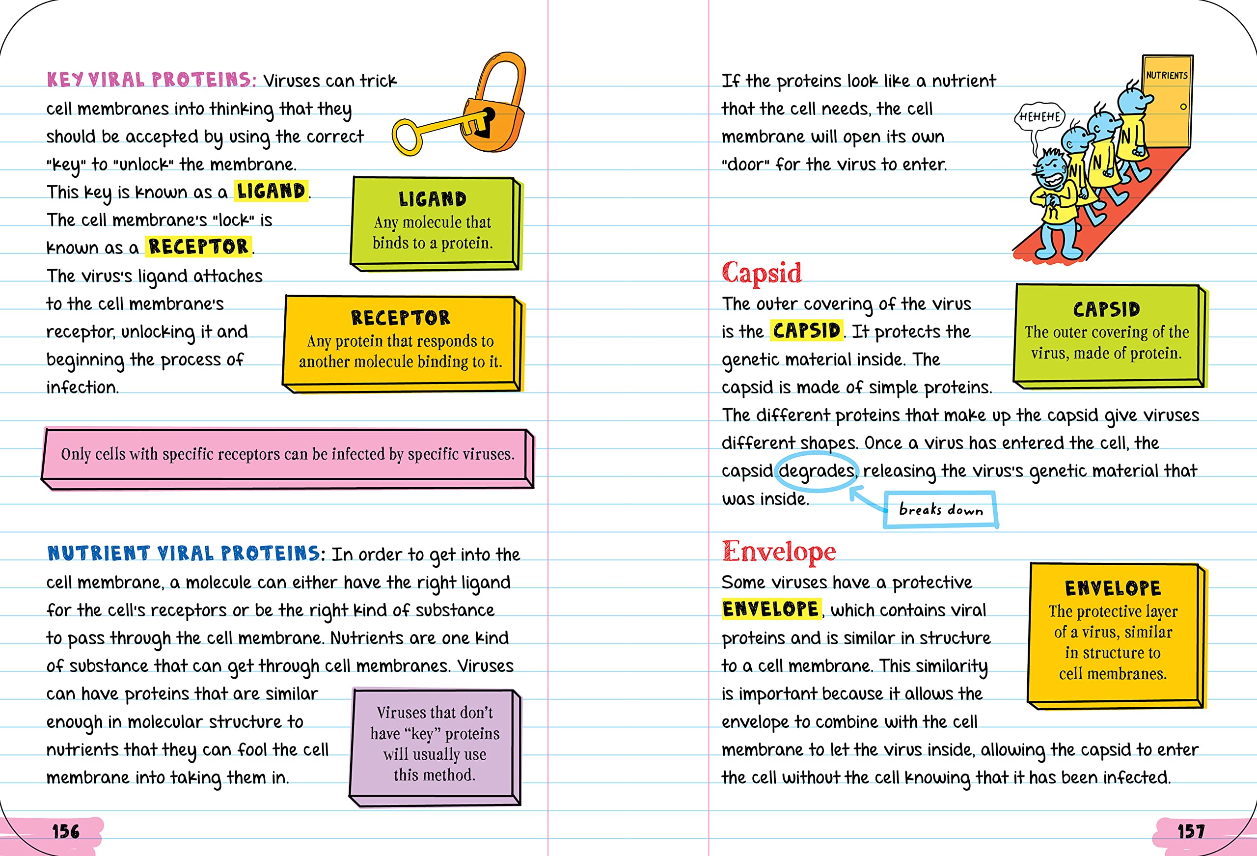 Everything You Need to Ace Biology in One Big Fat Notebook