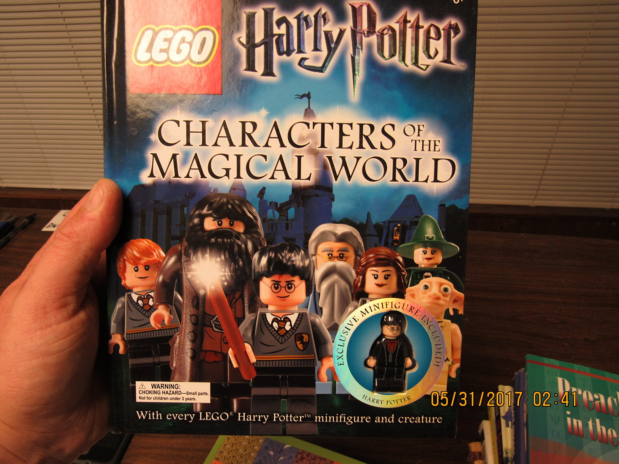 LEGO® Harry Potter: Characters of the Magical World