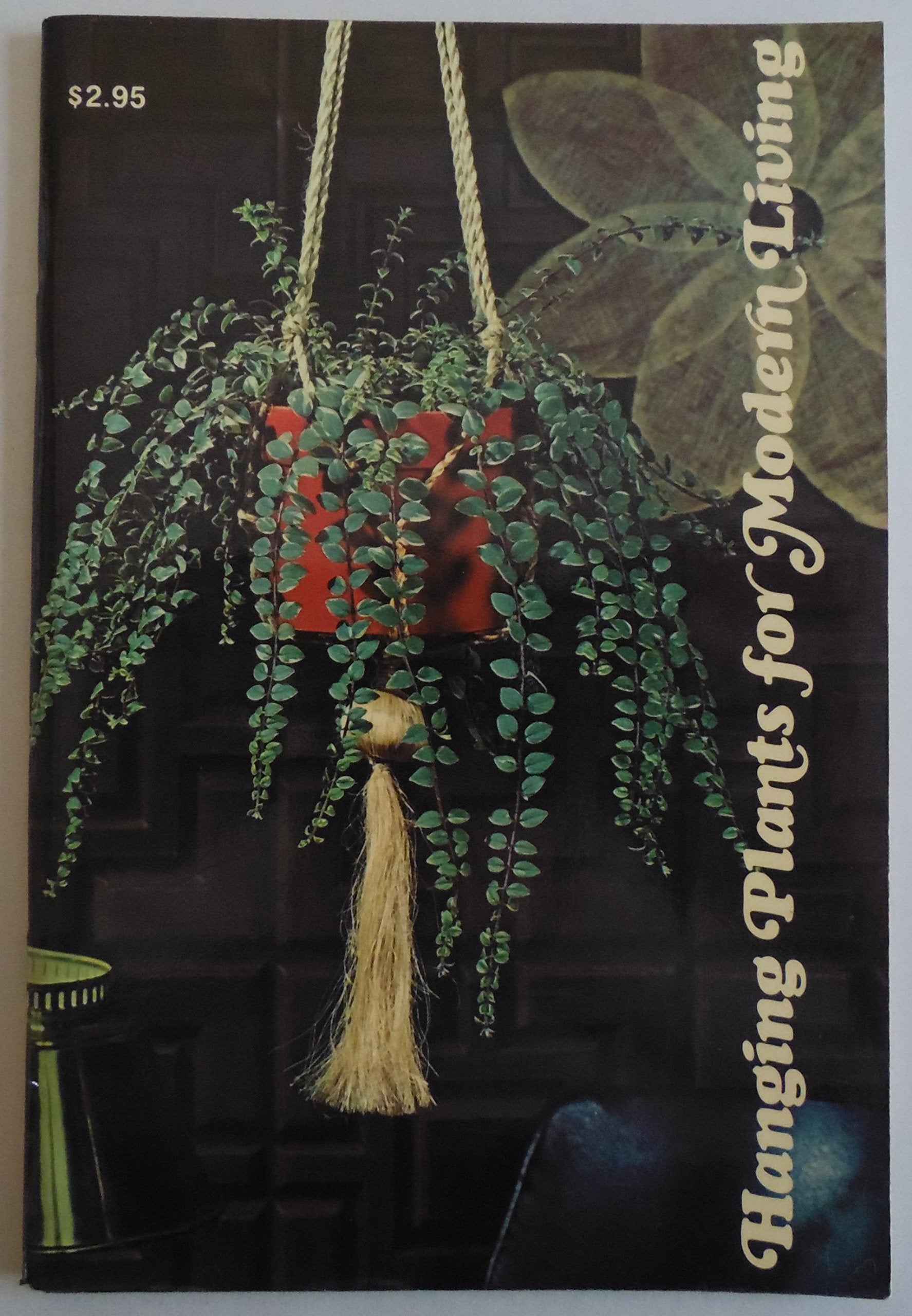 Hanging Plants for Modern Living