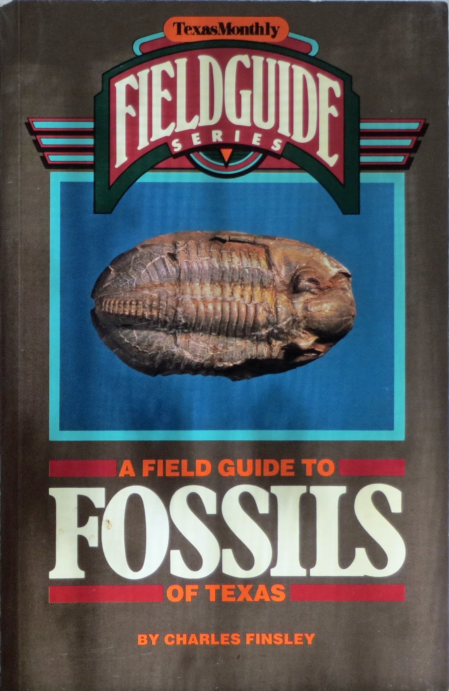 A Field Guide to Fossils of Texas