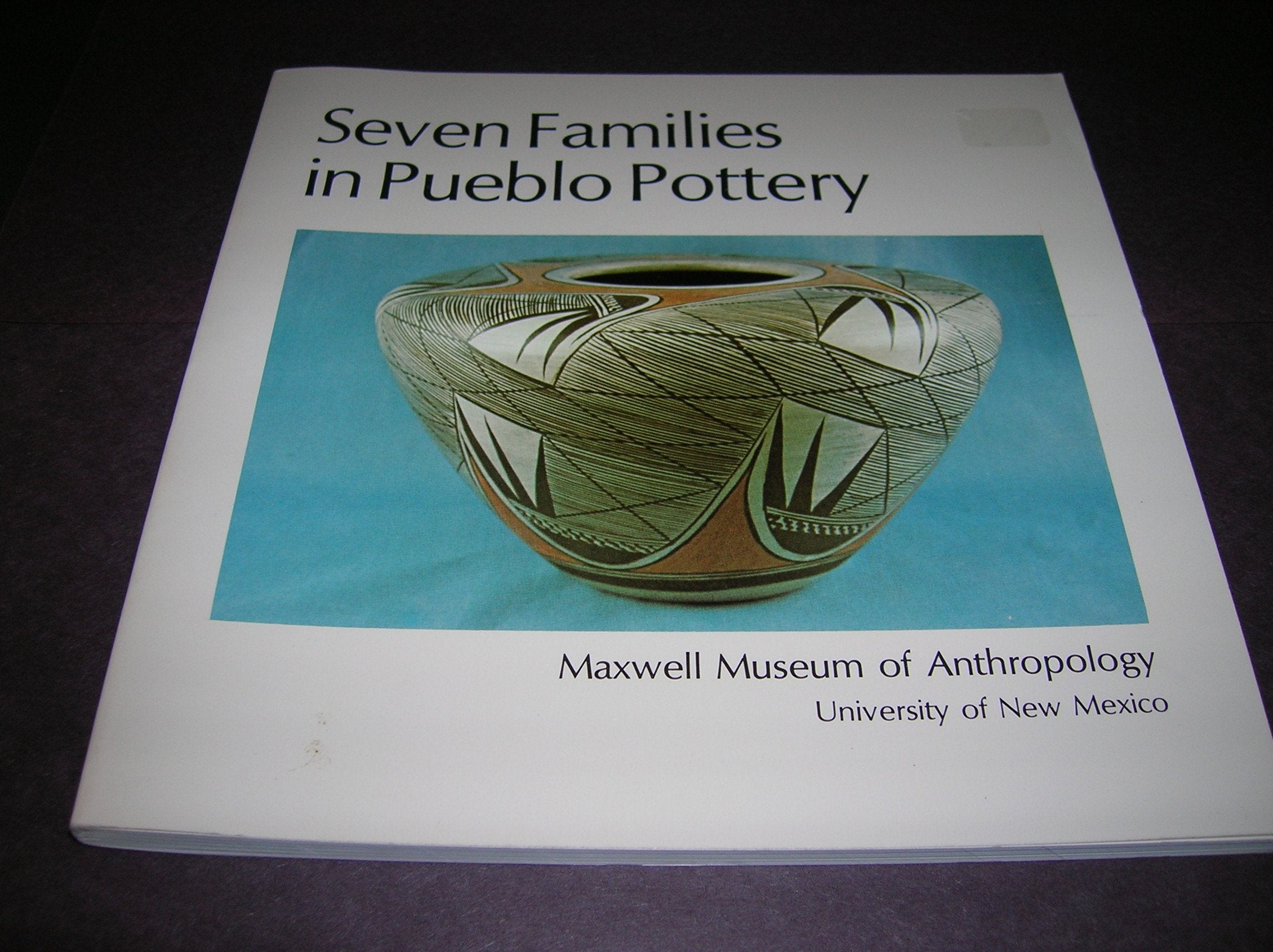 Seven Families in Pueblo Pottery