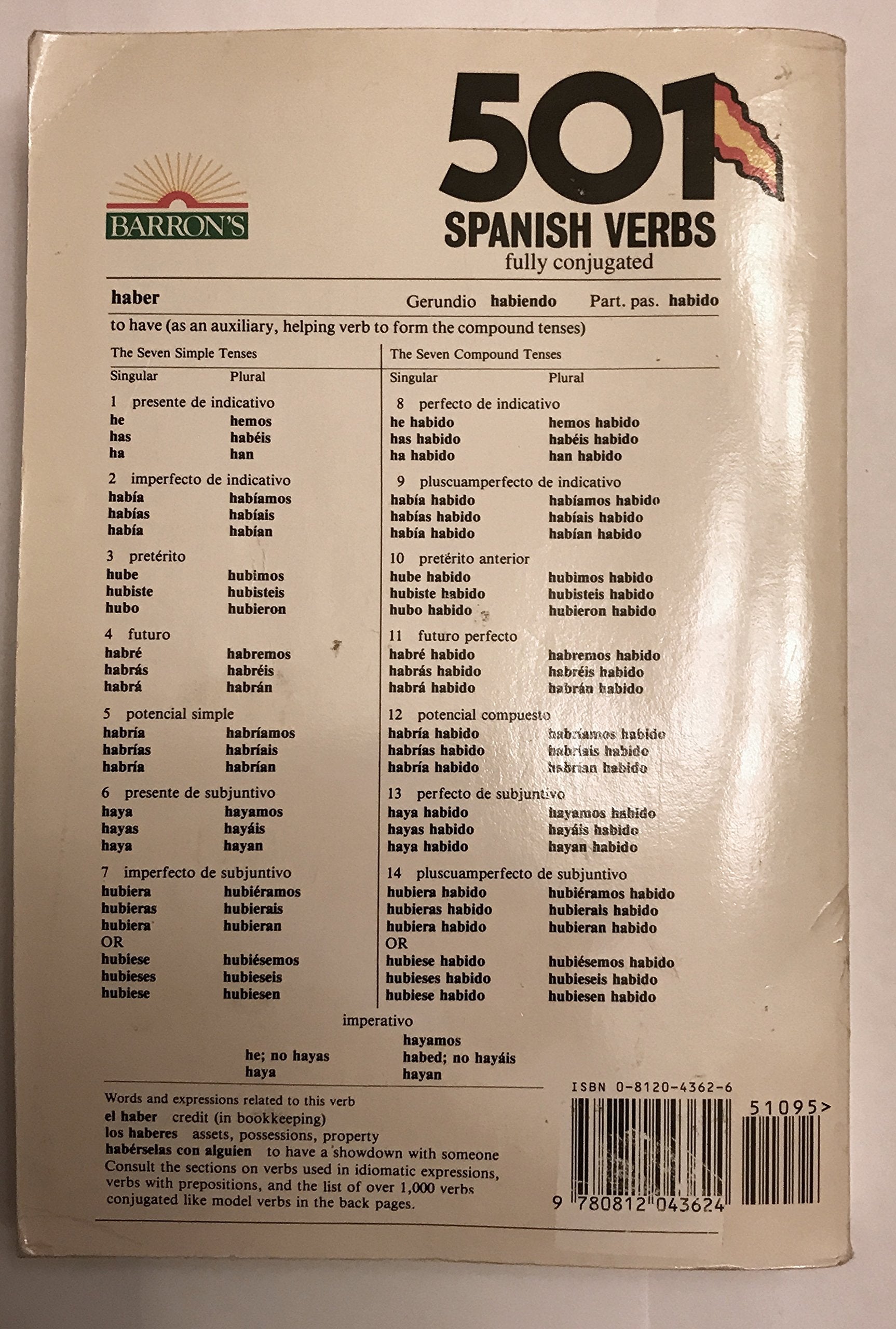 501 Spanish Verbs