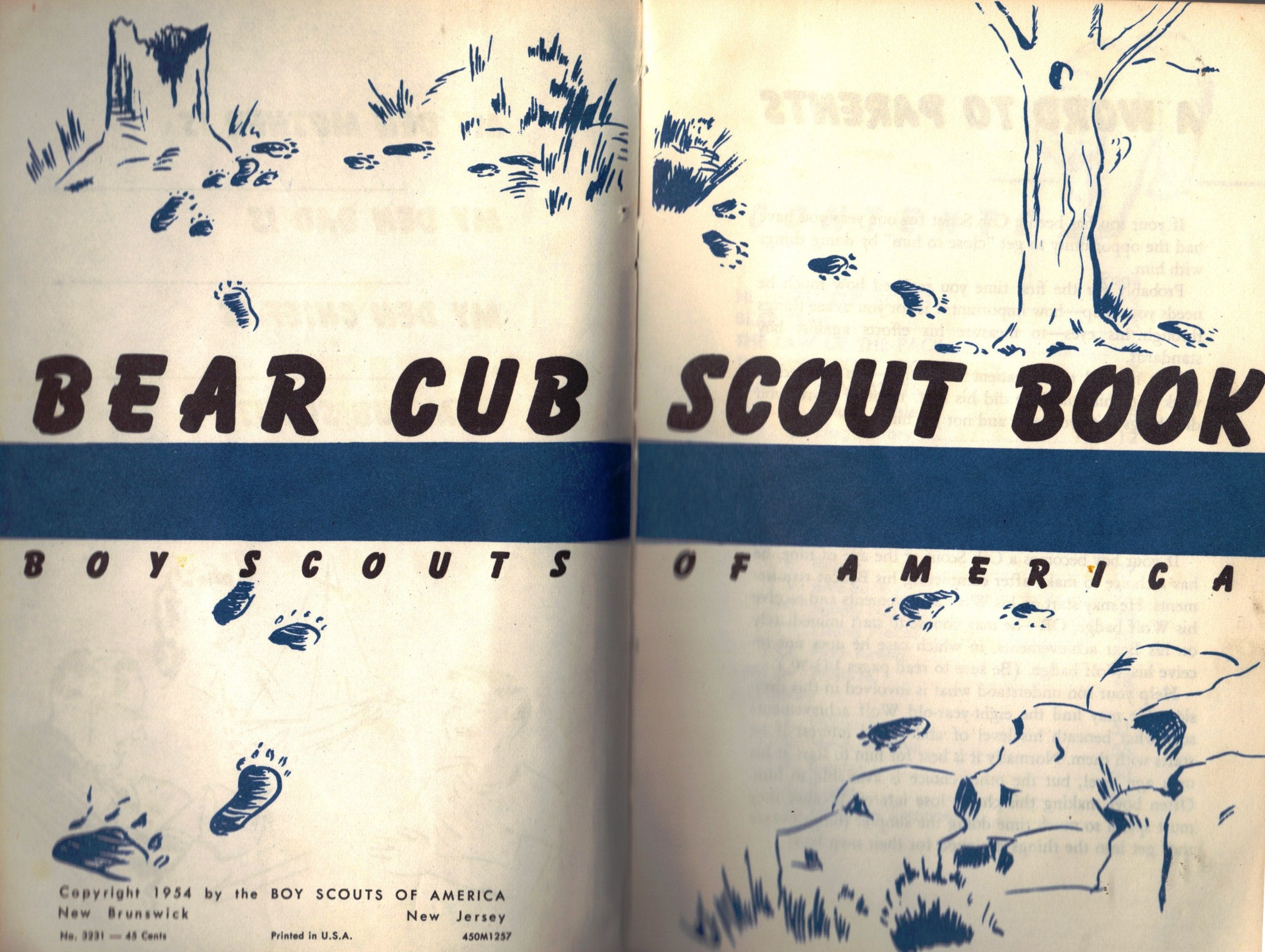 Bear Cub Scout Book (No. 3231)