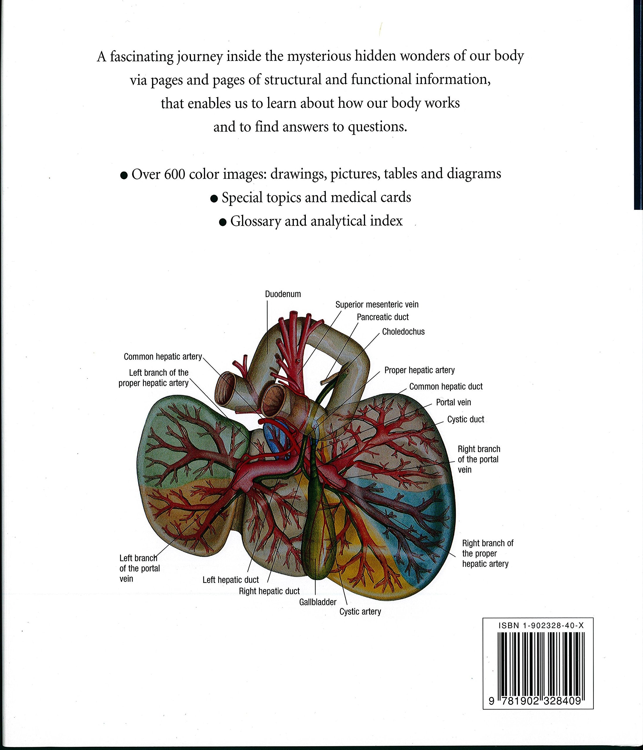 Atlas of Human Anatomy