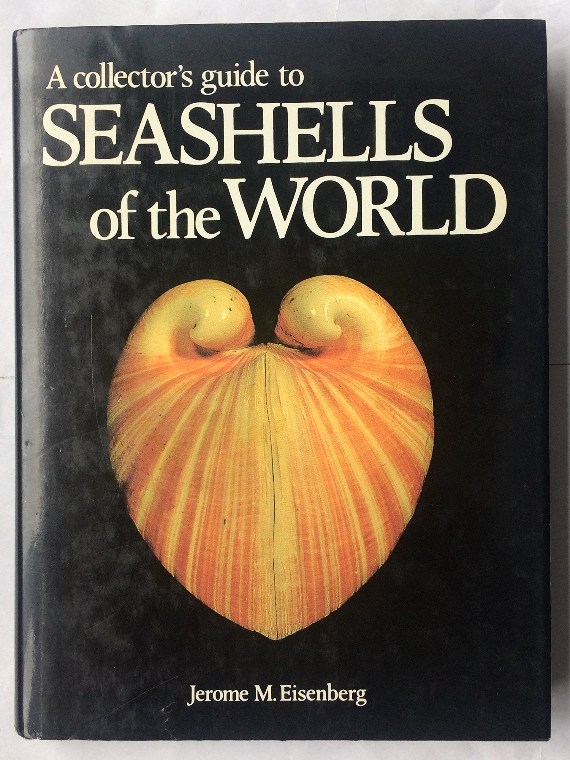 A Collector's Guide to Seashells of the World