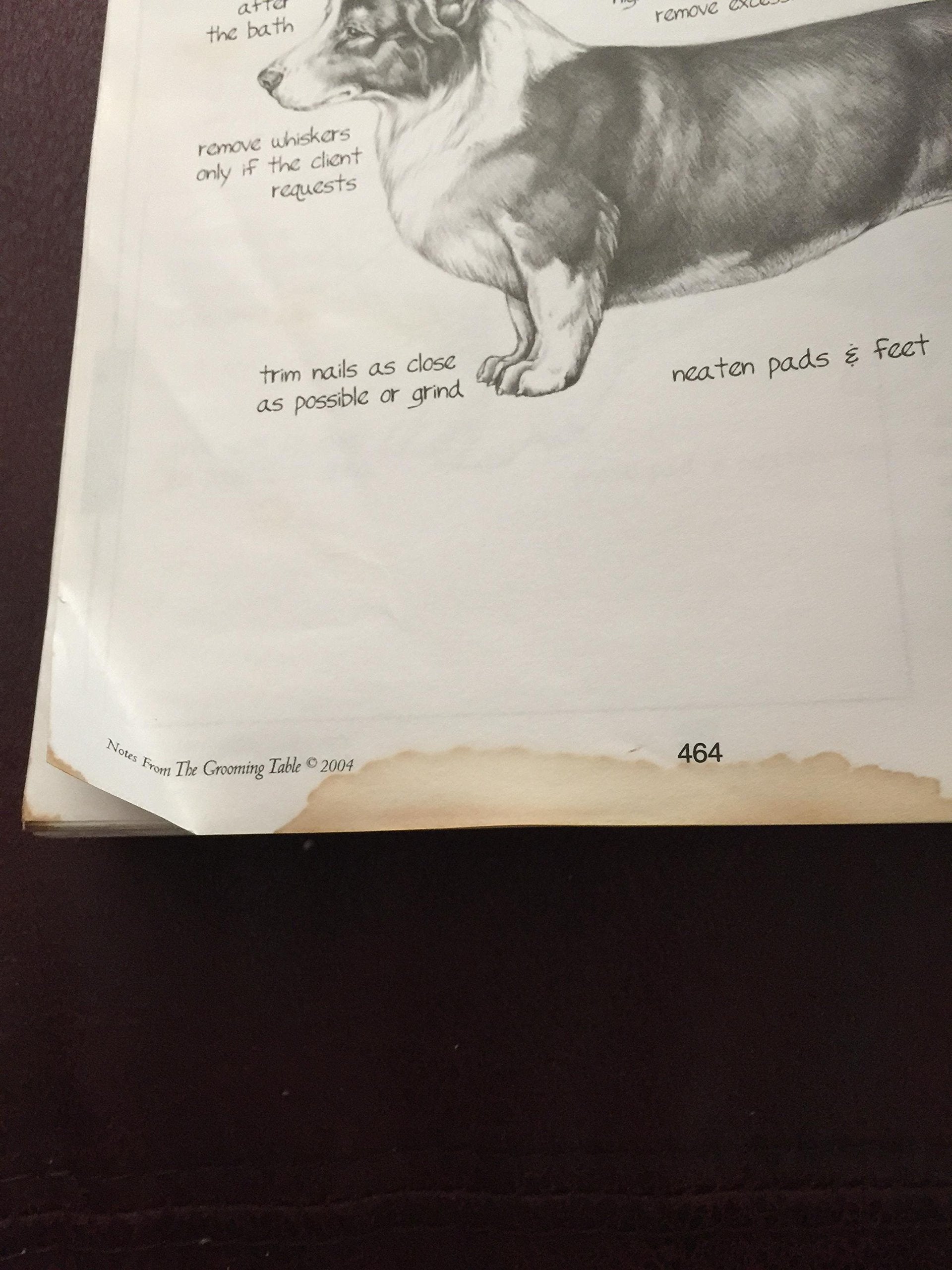 PT03