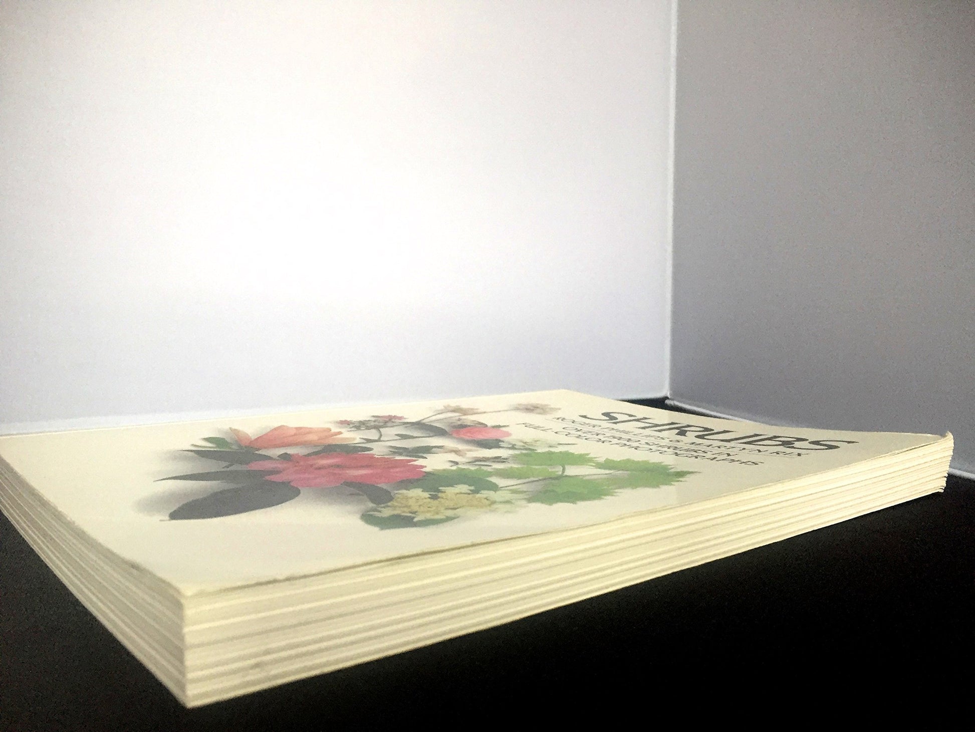 PT01