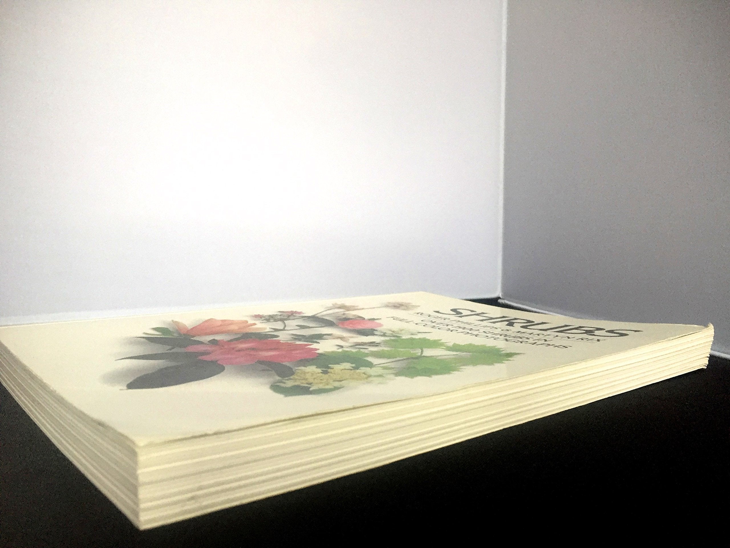PT01