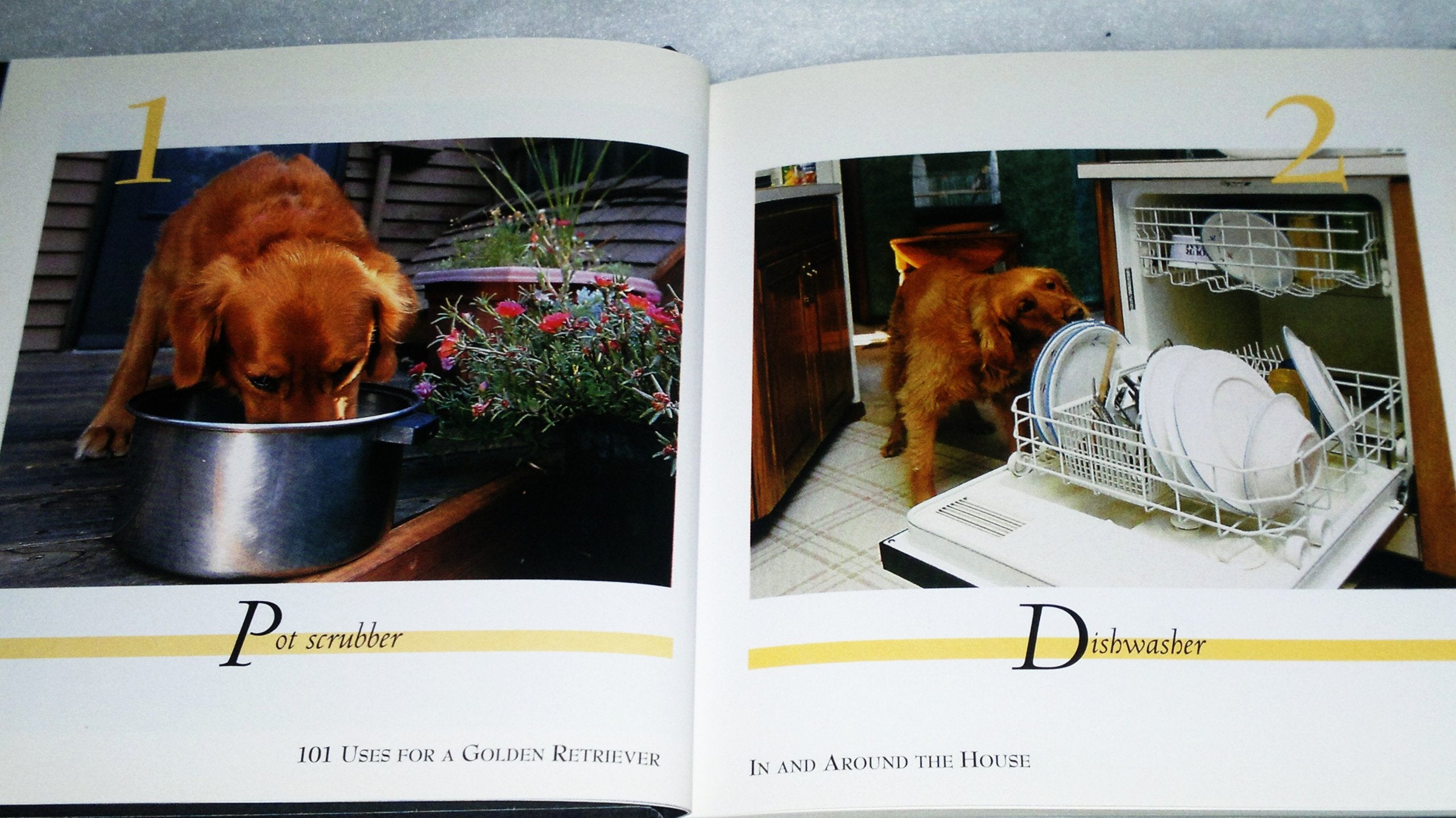 101 Uses for a Golden Retriever