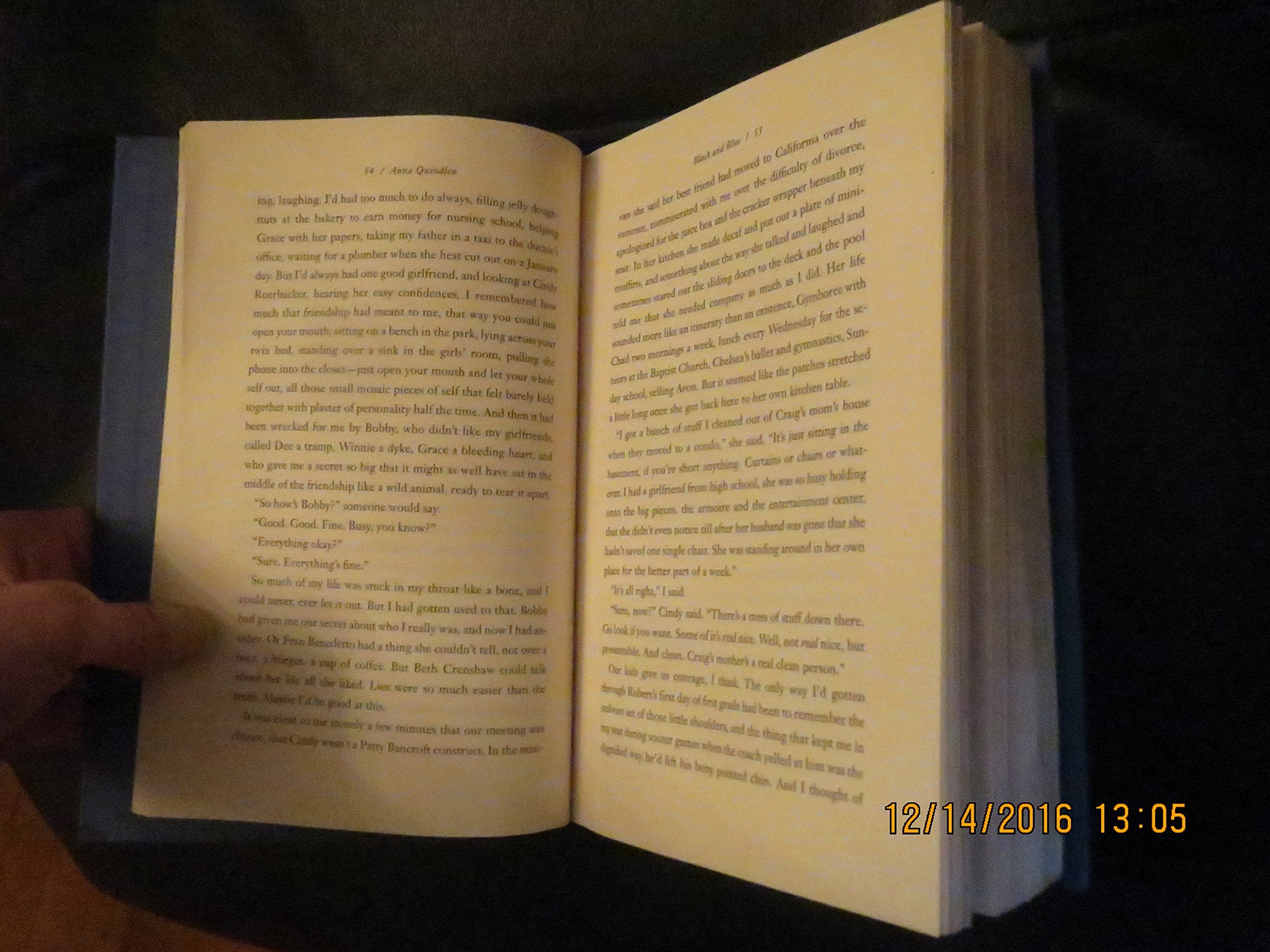 Black and Blue: A Novel