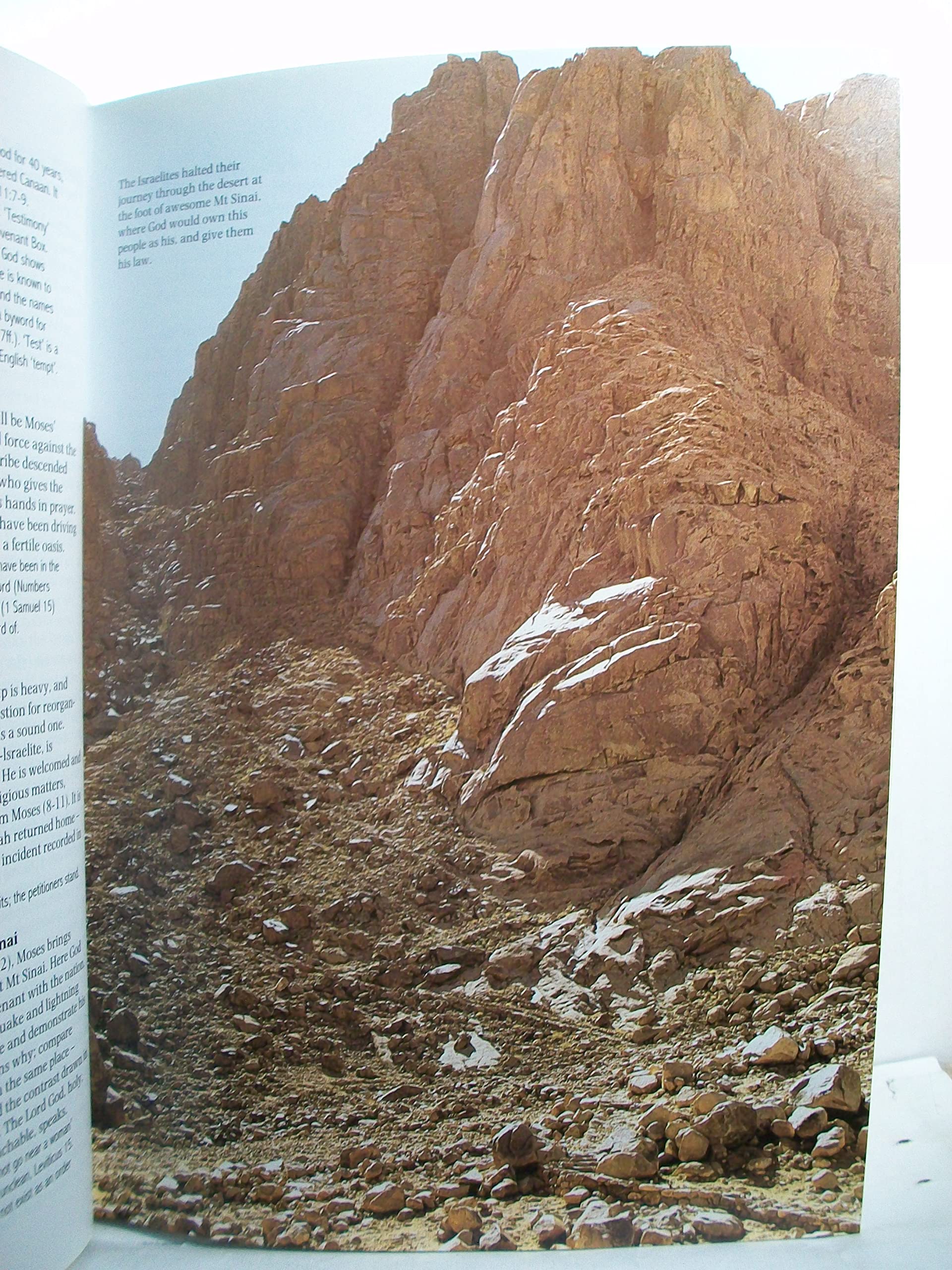 PT04