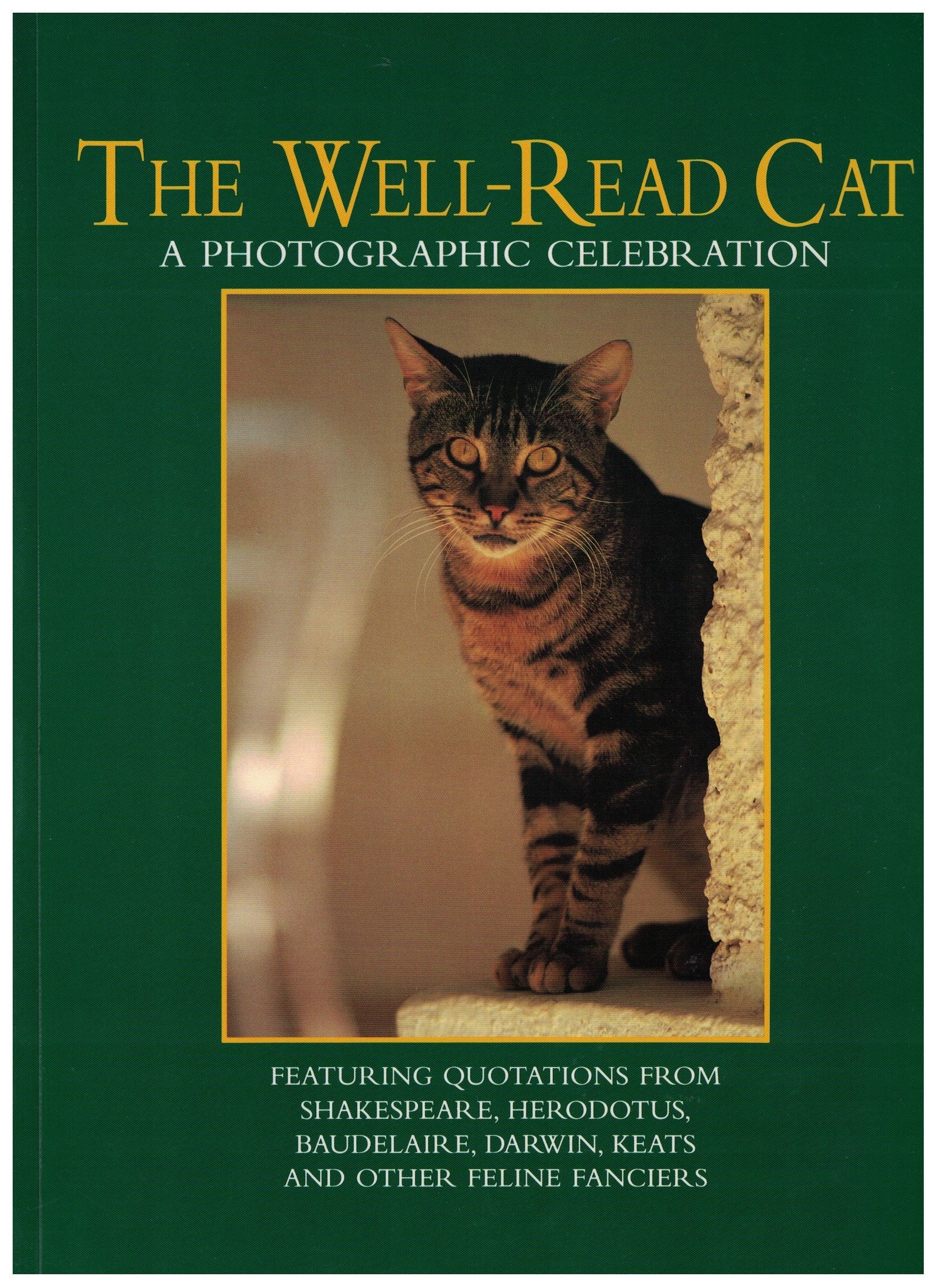 Well Read Cat