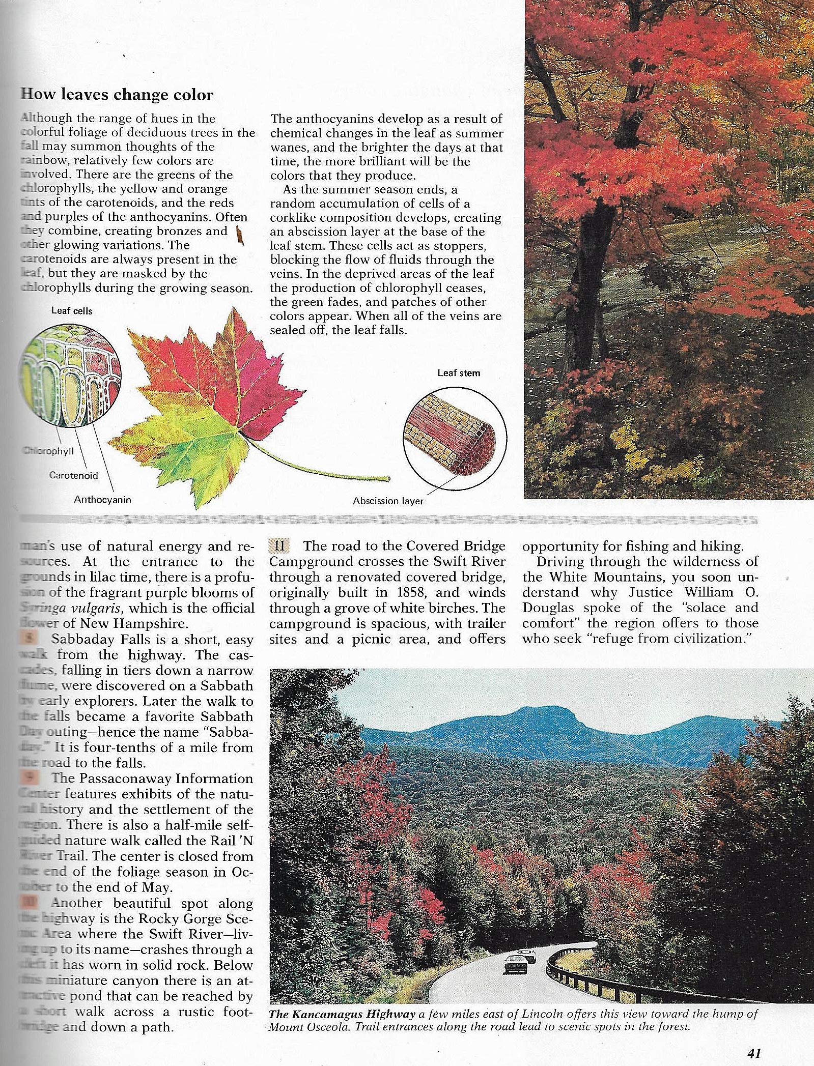 America From the Road