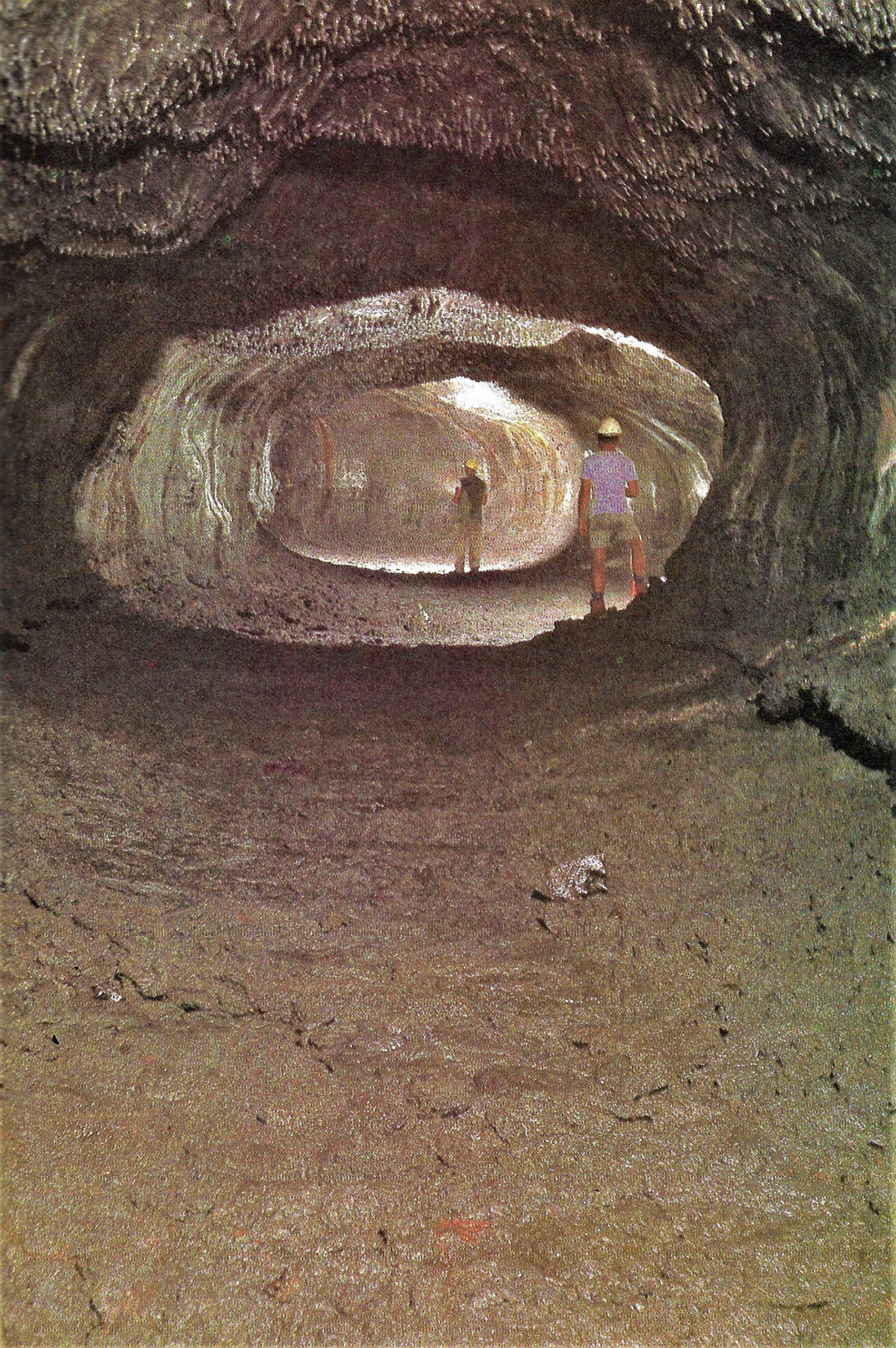 PT07