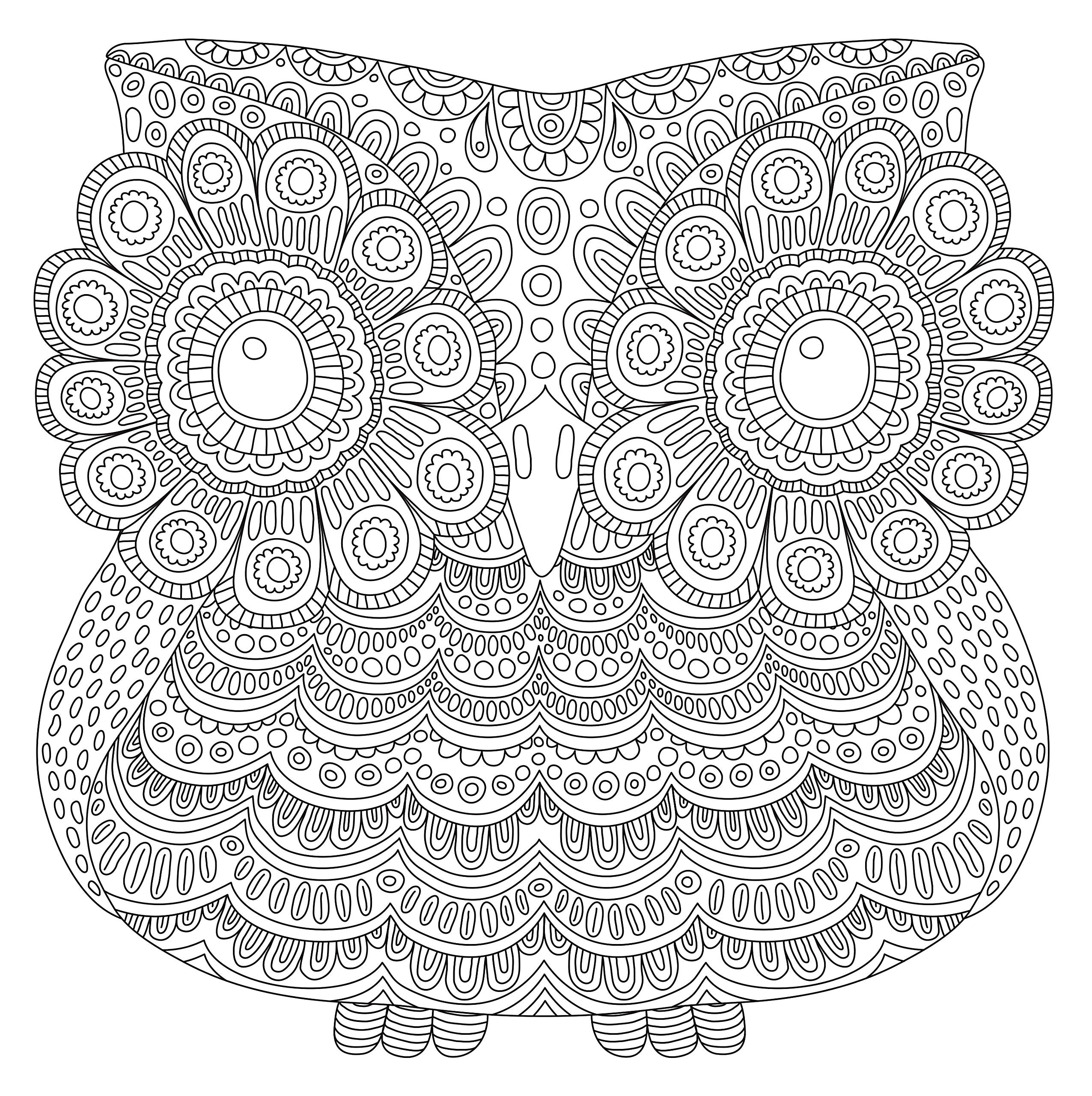 Blooms, Birds, & Butterflies (Studio Series Artist's Coloring Book)