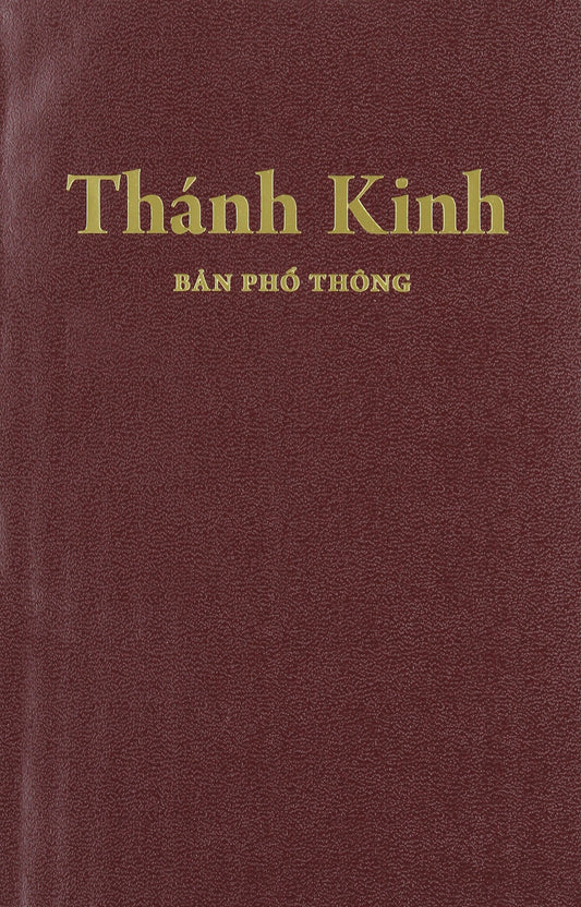 Thanh KinhVietnamese Holy Bible: EasyToRead Version Vietnamese Bible Vietnamese Edition [Perfect Paperback] World Bible Translation Center