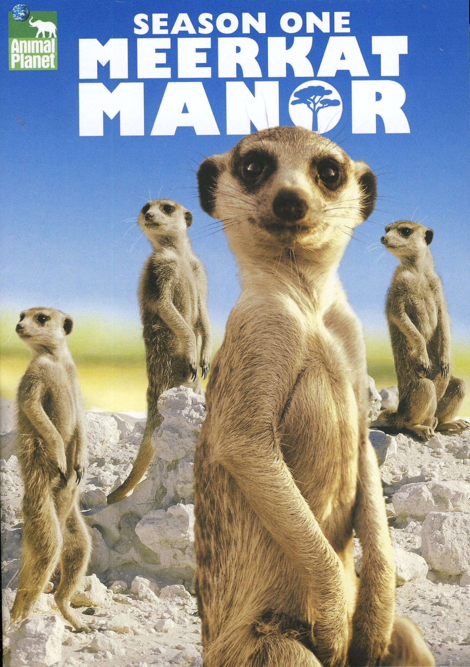Meerkat Manor - Season 1 [DVD]