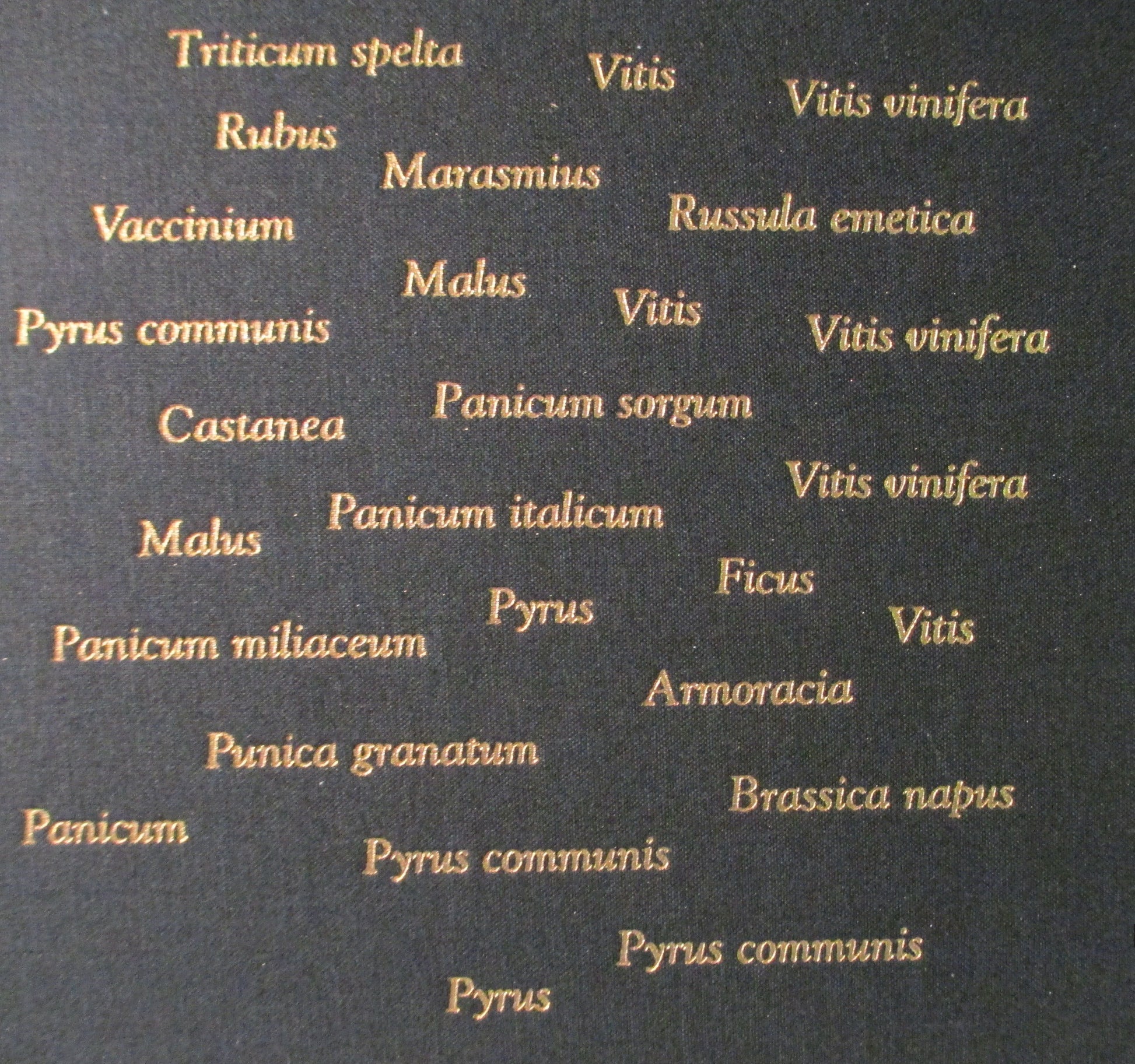 PT04