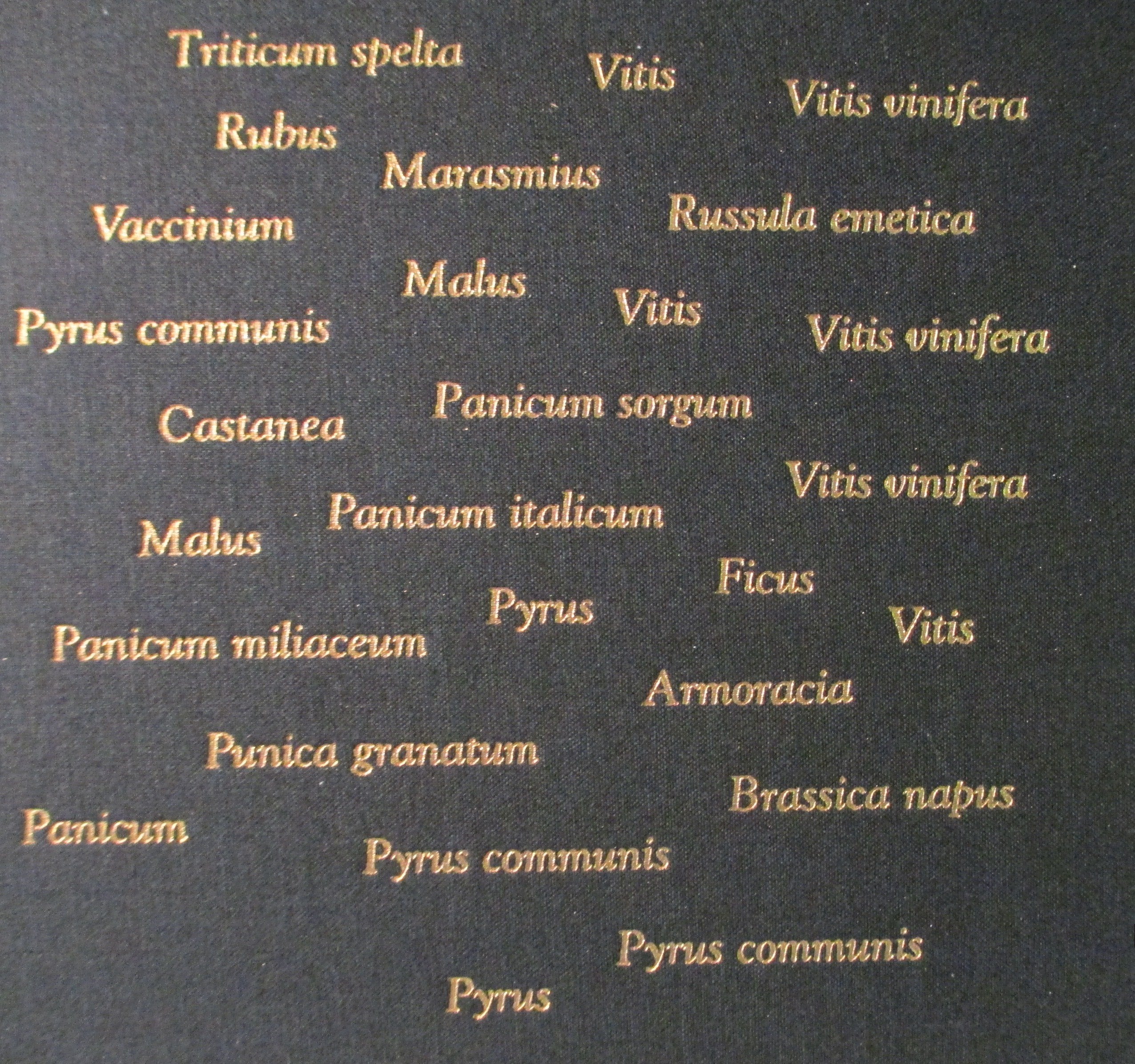 PT04