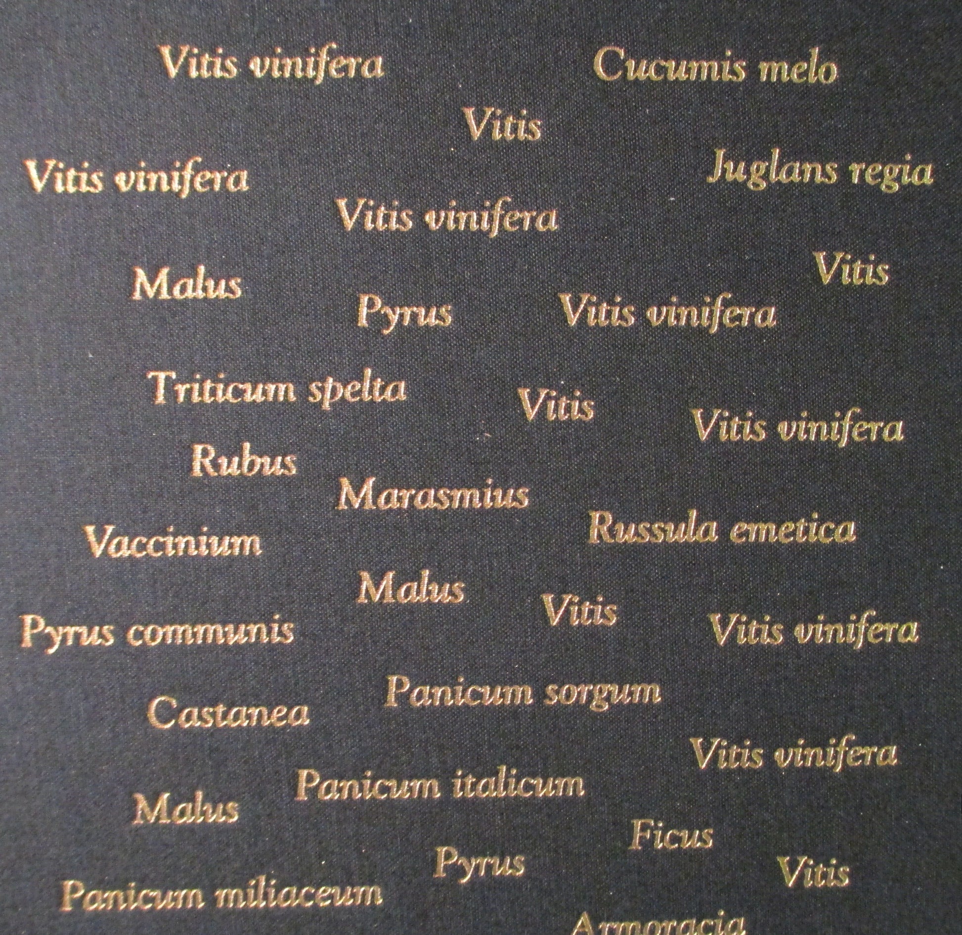PT03