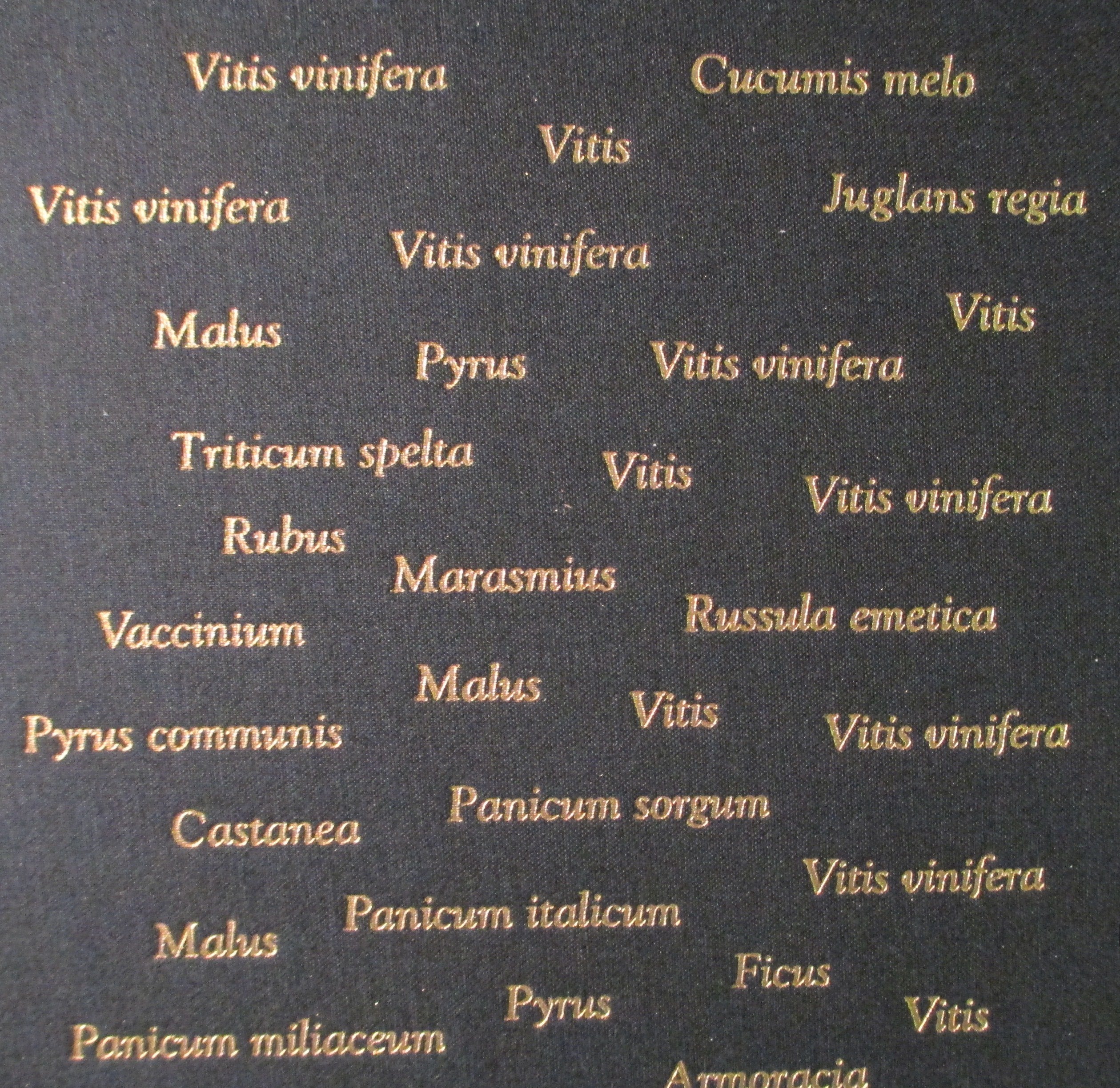 PT03