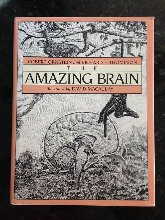 The Amazing Brain Robert E Ornstein; Richard F Thompson and David Macauley