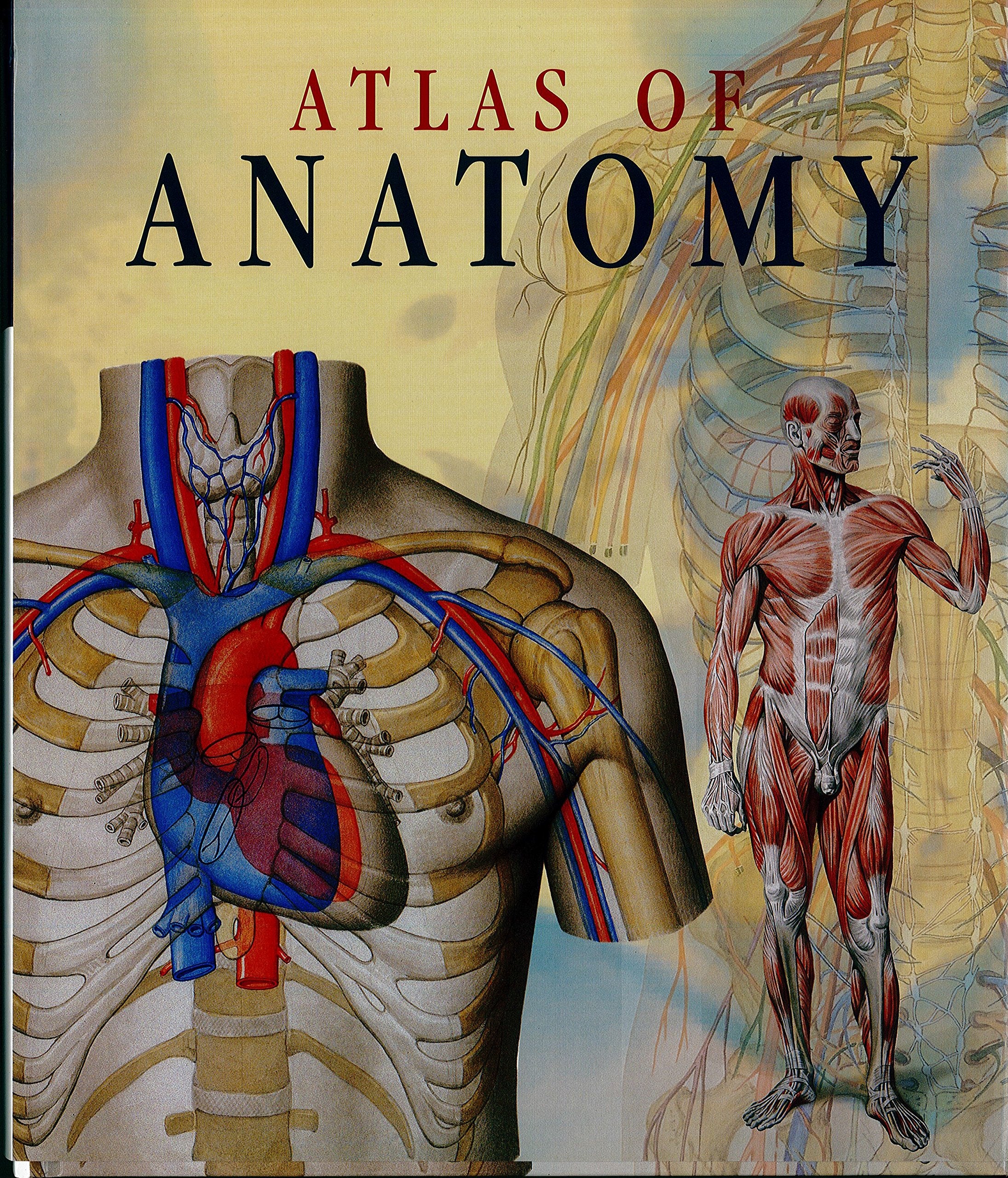 Atlas of Human Anatomy
