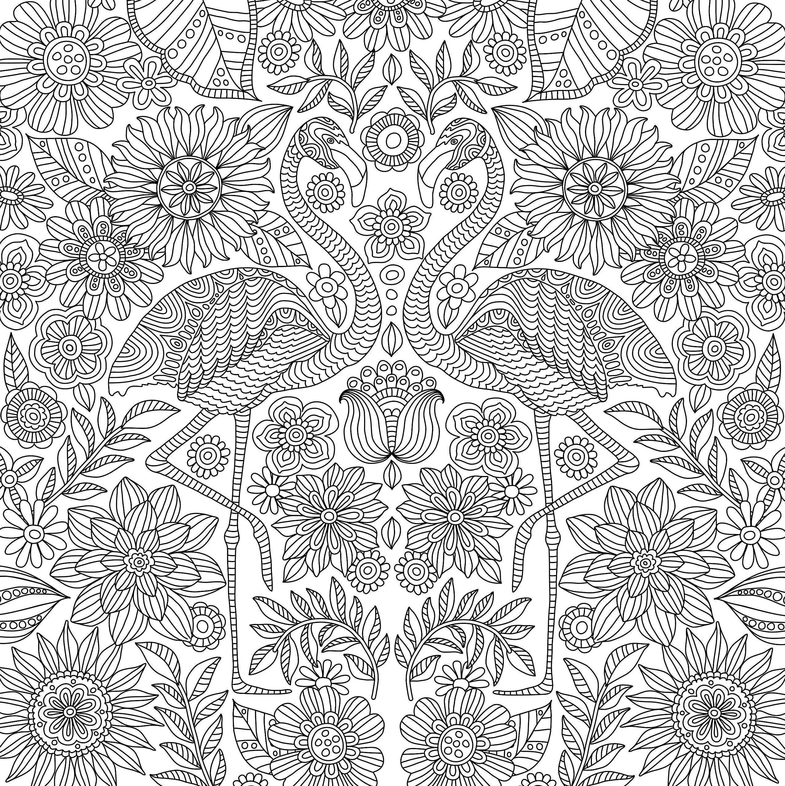Blooms, Birds, & Butterflies (Studio Series Artist's Coloring Book)