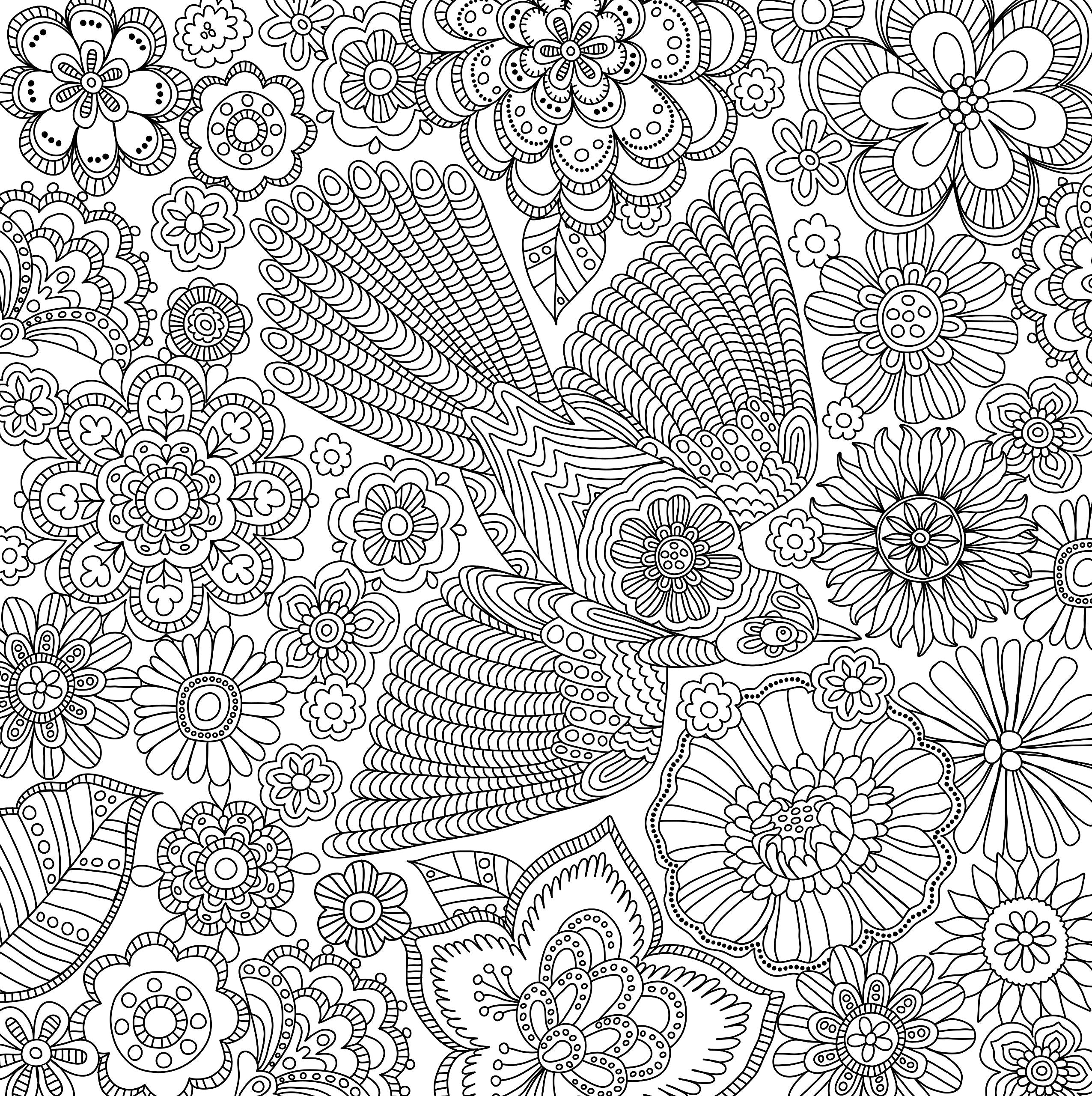 Blooms, Birds, & Butterflies (Studio Series Artist's Coloring Book)