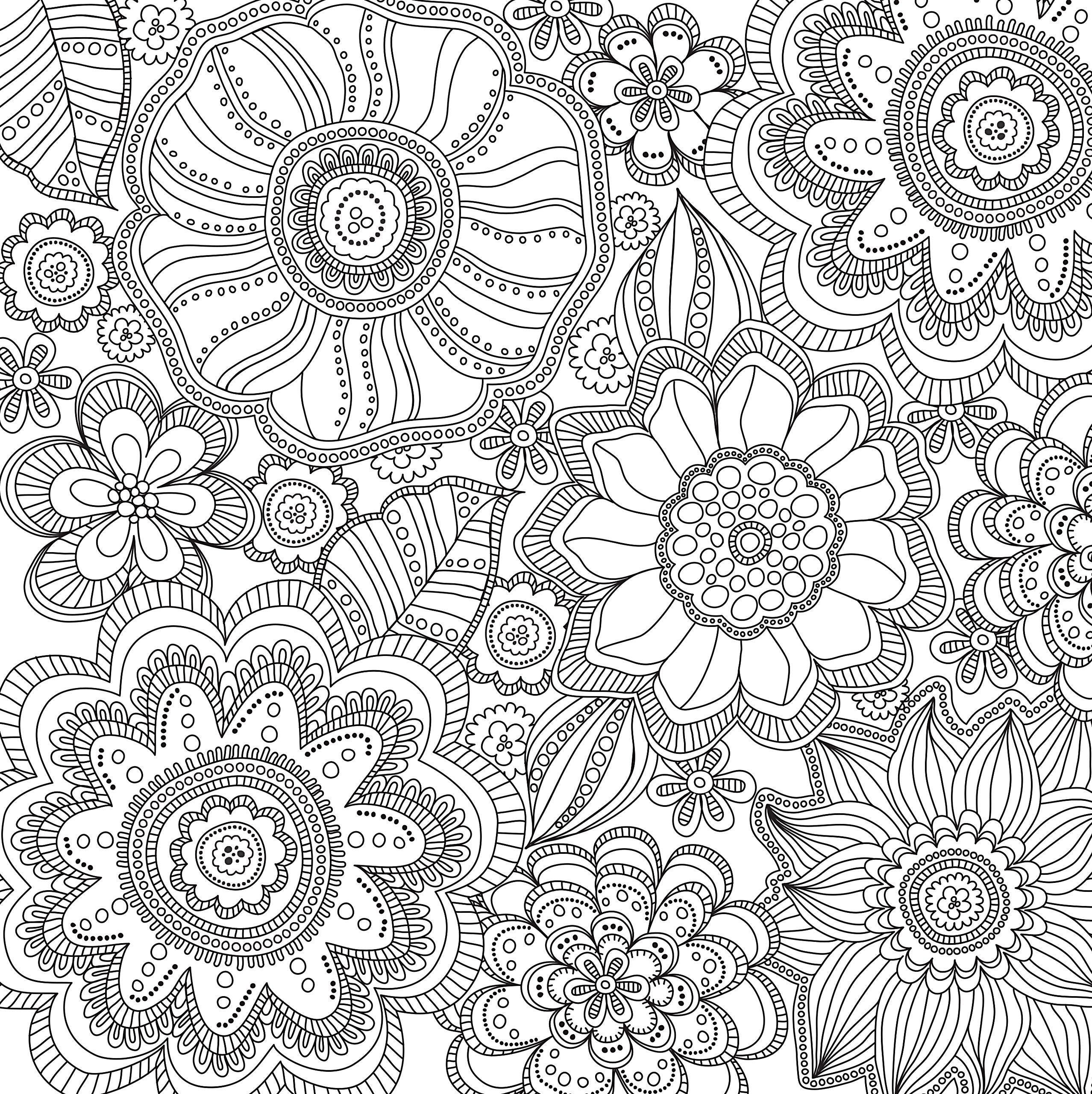 Blooms, Birds, & Butterflies (Studio Series Artist's Coloring Book)