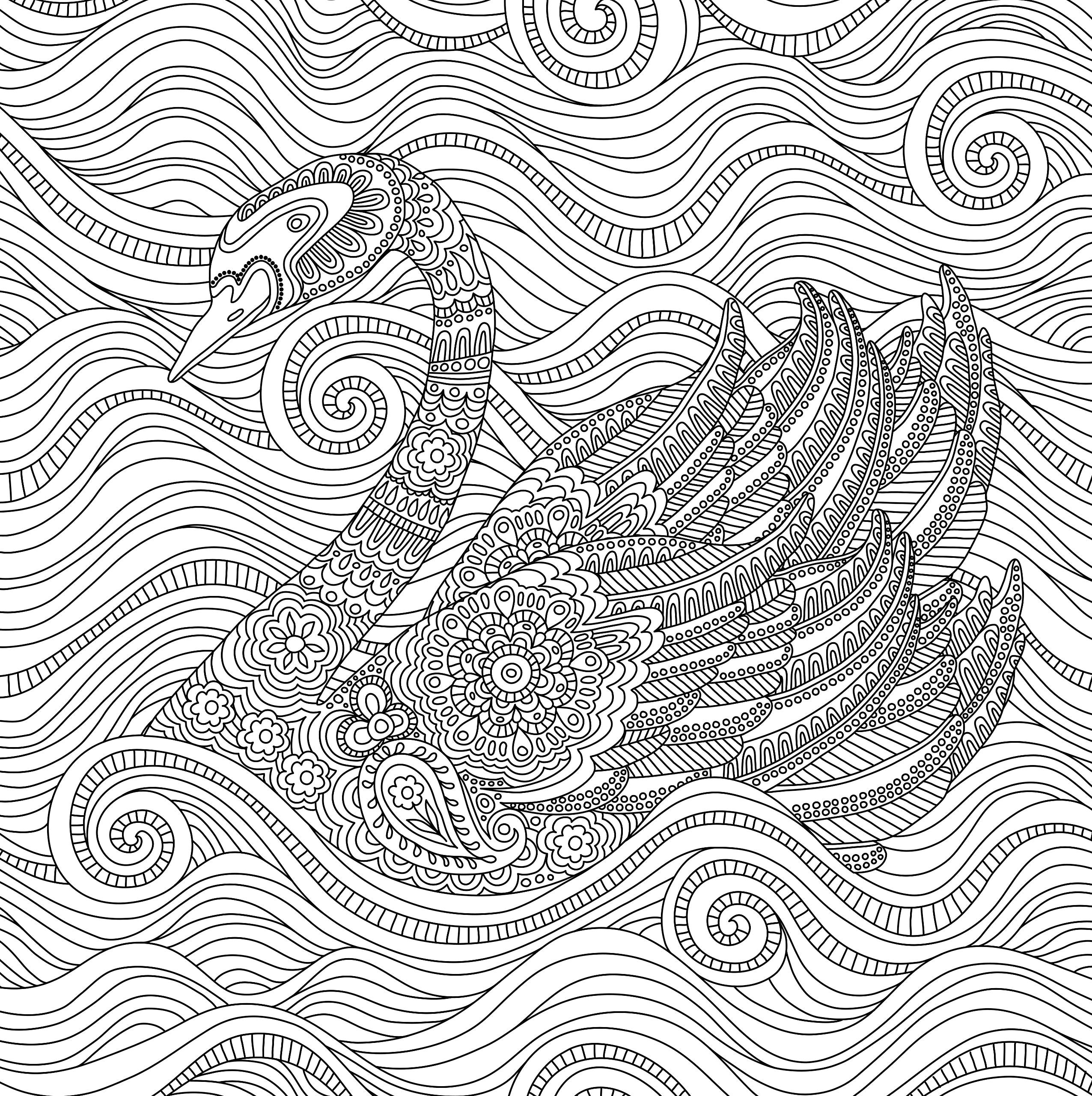 Blooms, Birds, & Butterflies (Studio Series Artist's Coloring Book)